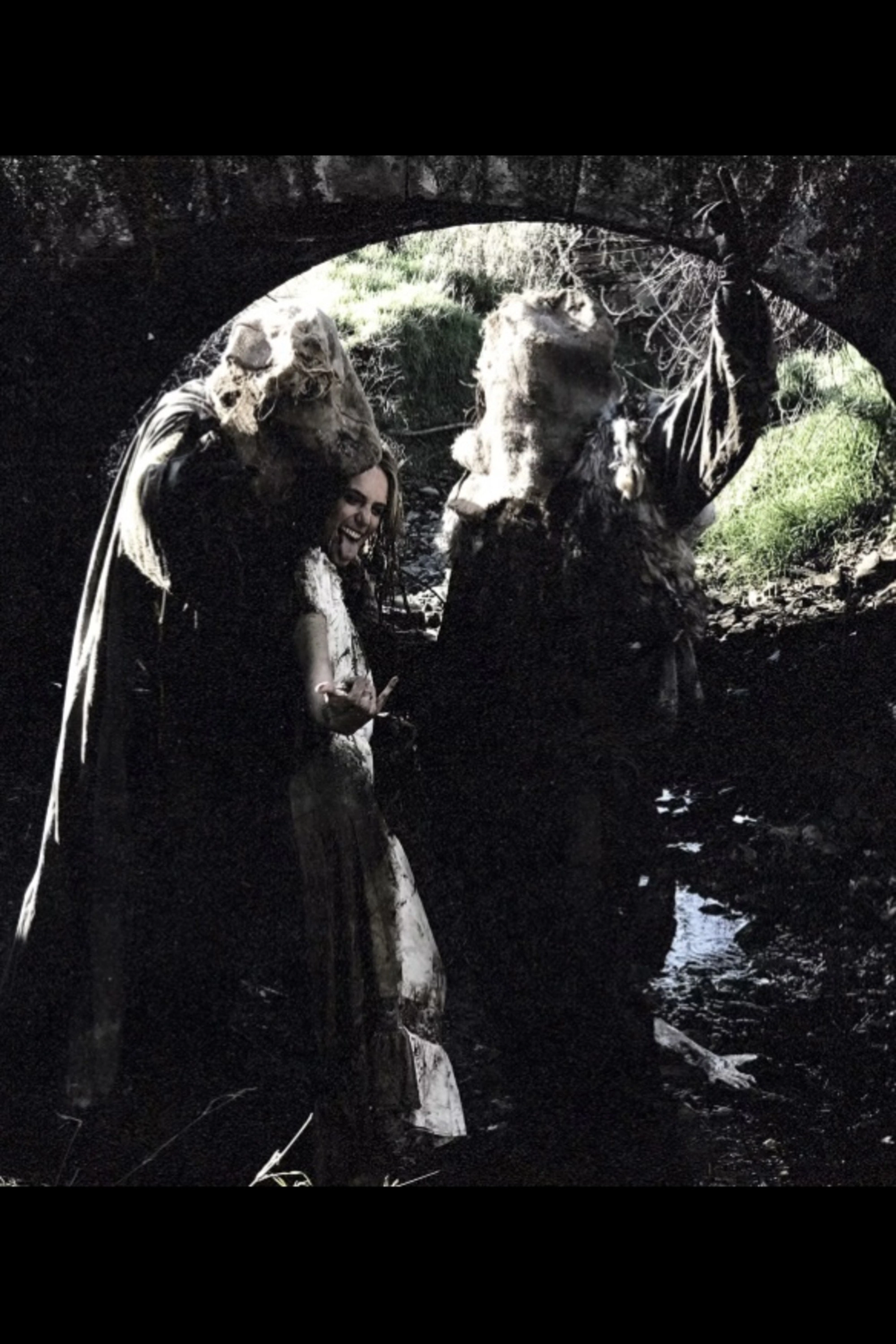 Trolls