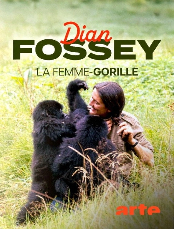 Dian Fossey: Ihr Leben für die Gorillas