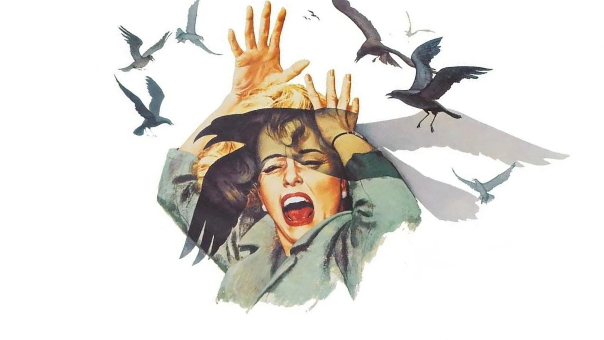 The Birds