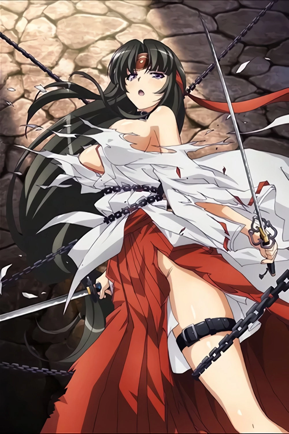 Queen's Blade: Vanquished Queens