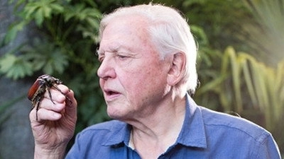 Micro Monsters with David Attenborough