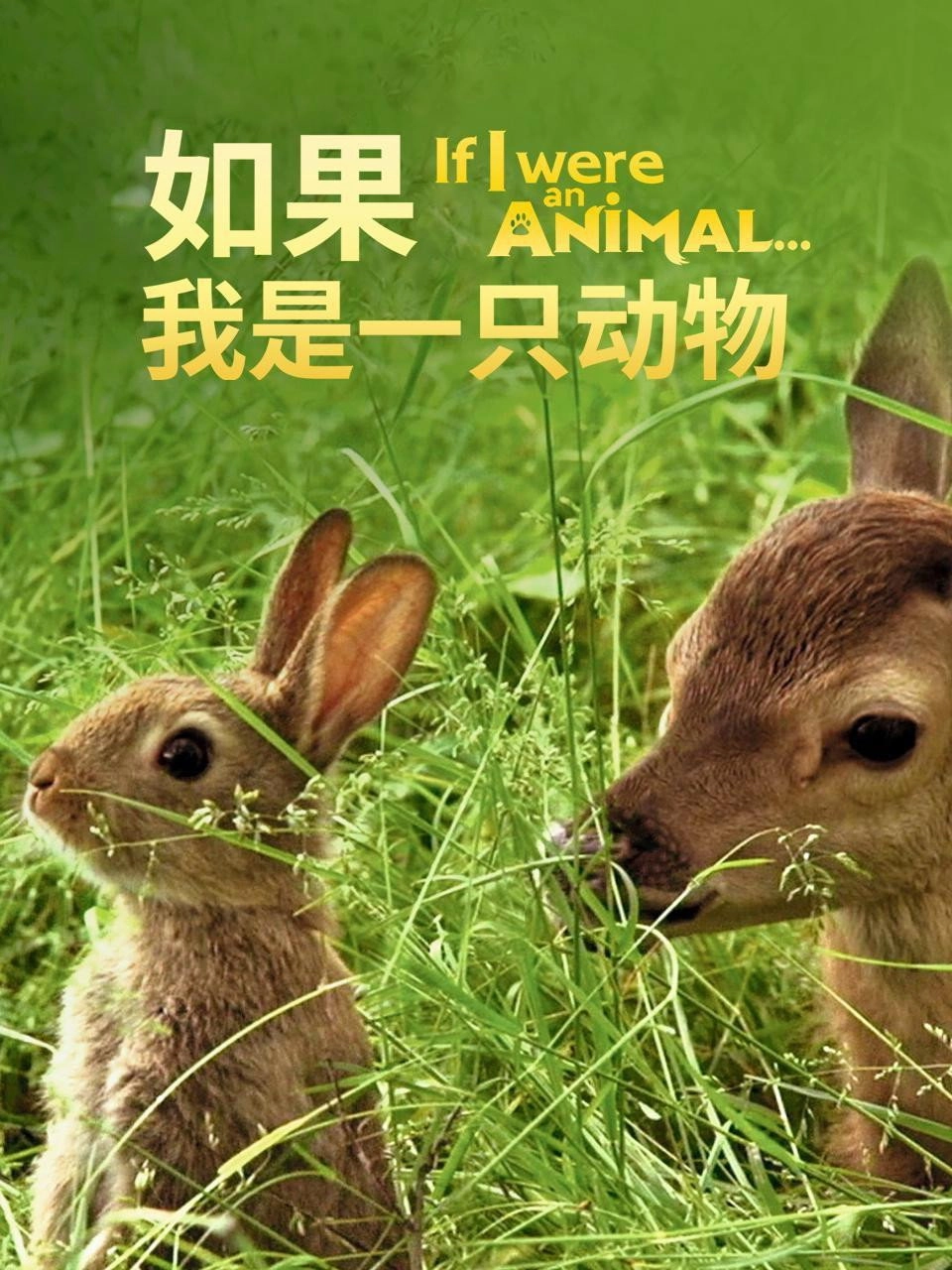 If I Were an Animal