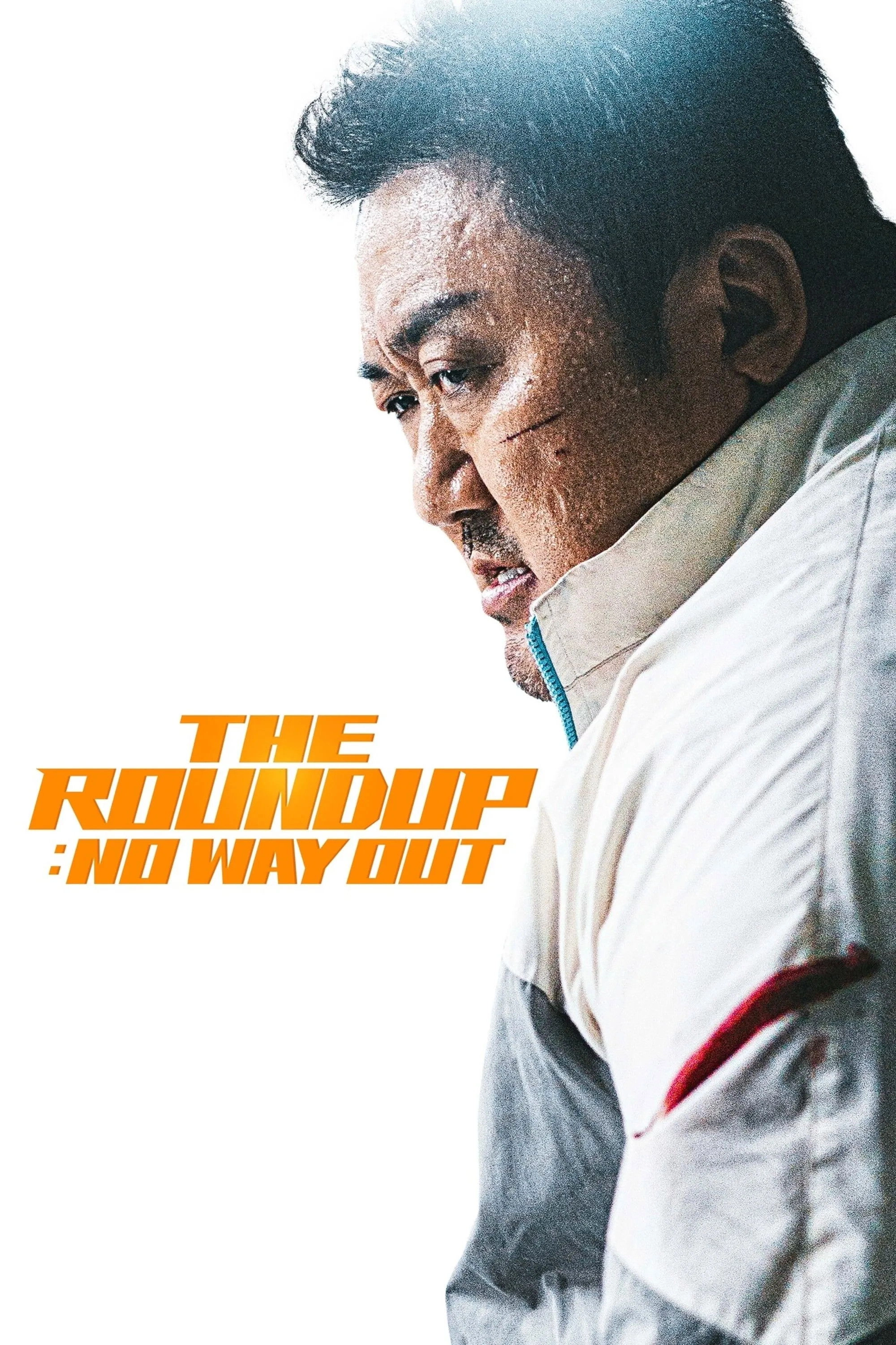 The Roundup 3: No Way Out