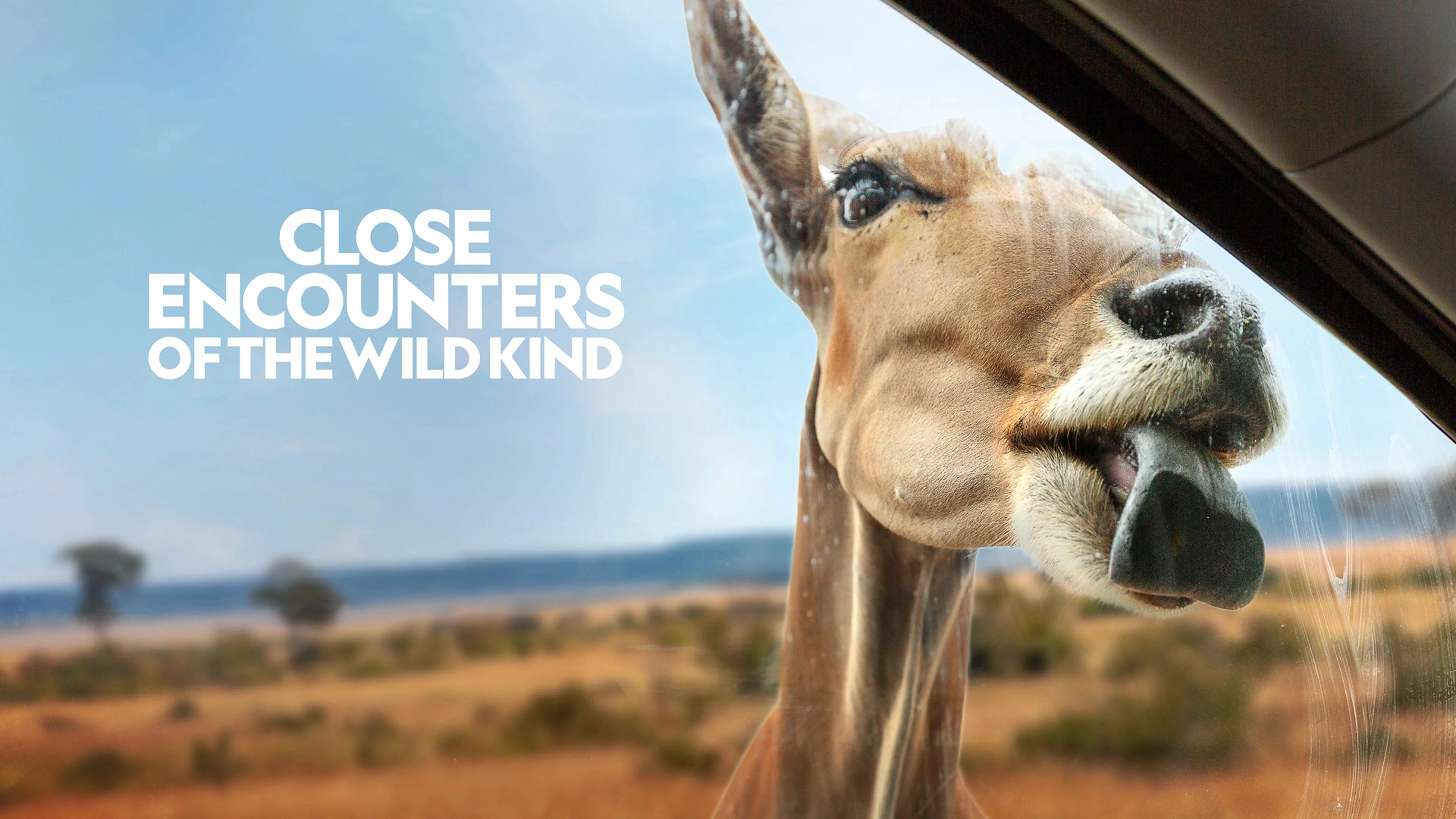Close Encounters of the Wild Kind