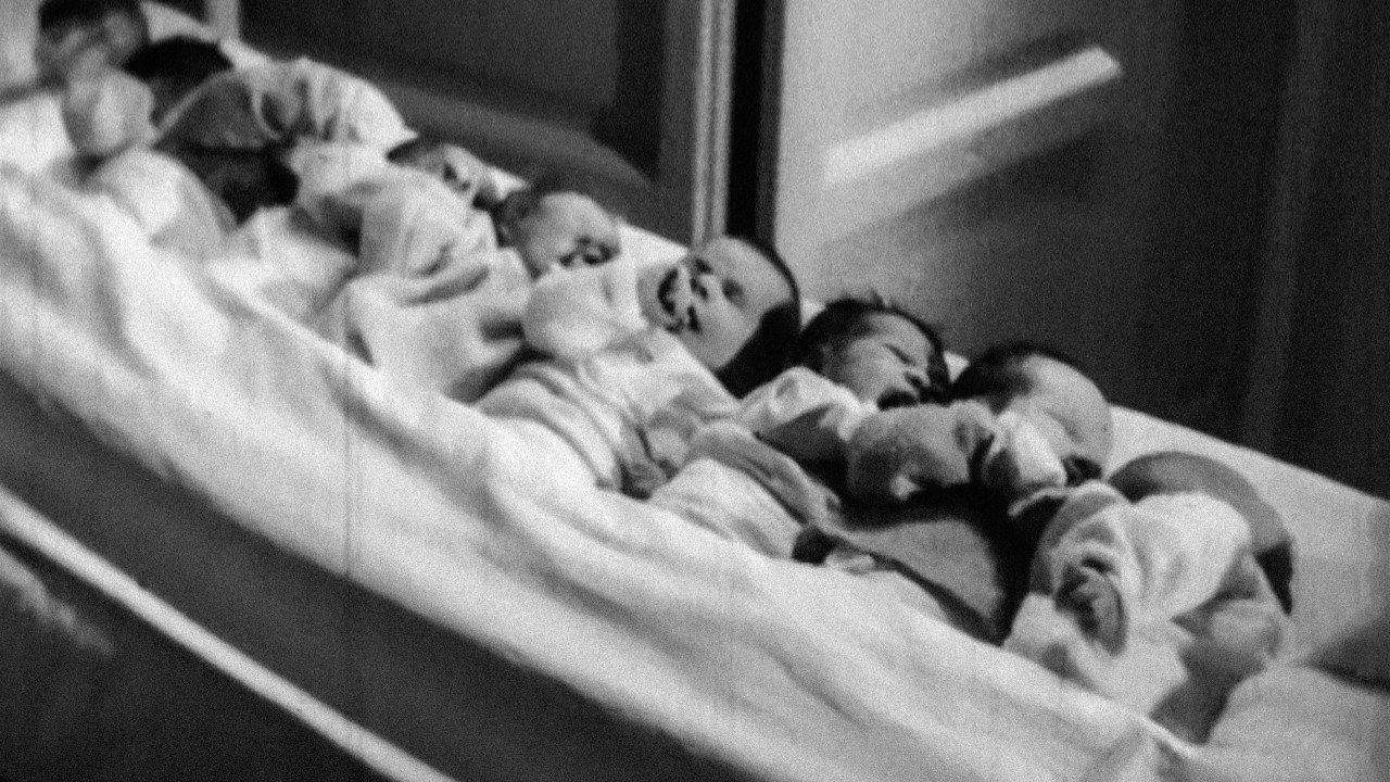 Cradle Siblings