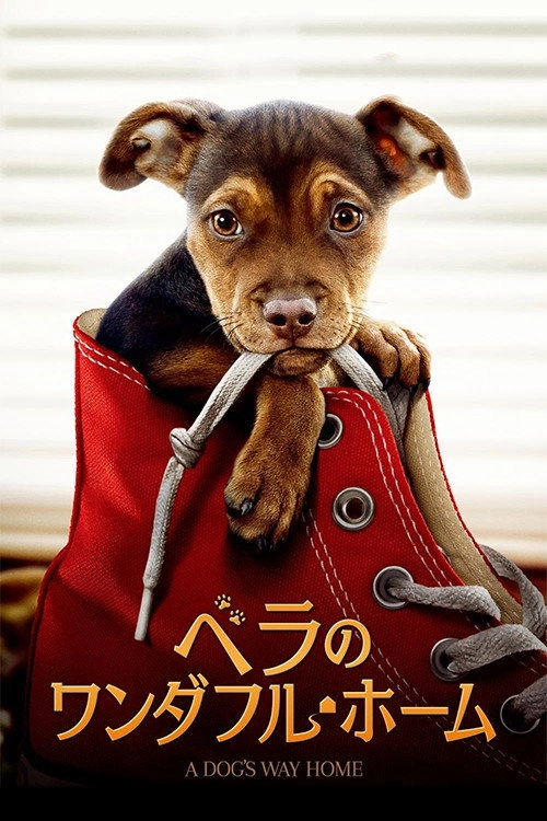 A Dog's Way Home