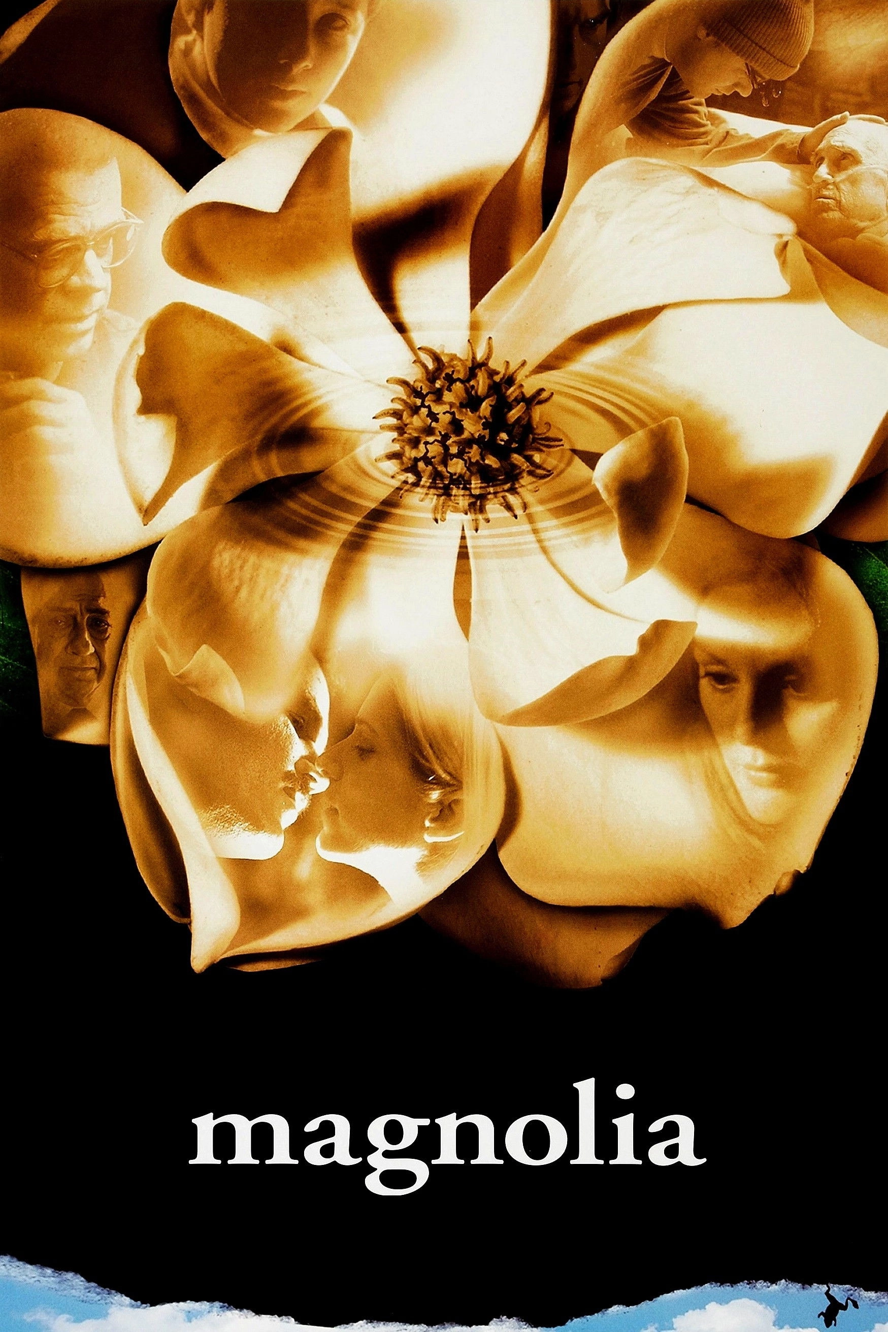 Magnolia
