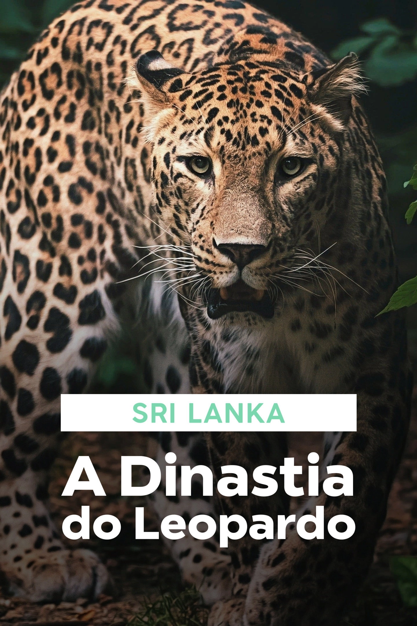 Sri Lanka: Leopard Dynasty