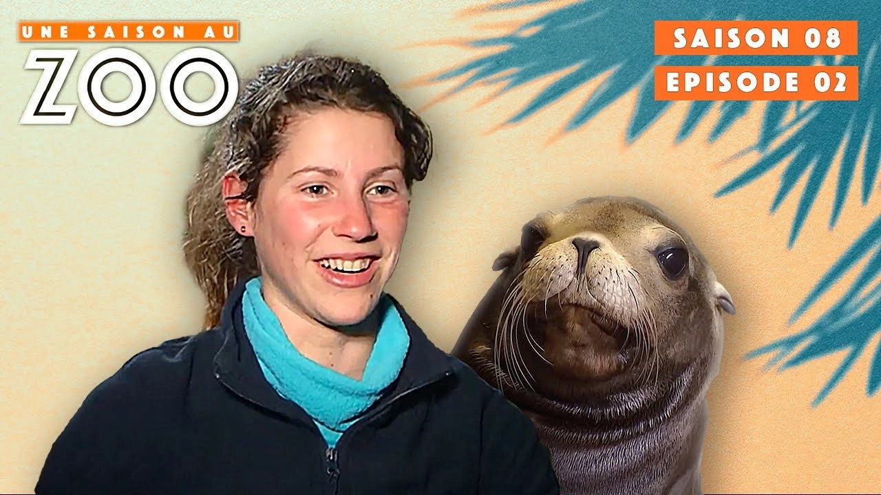 Une saison au zoo