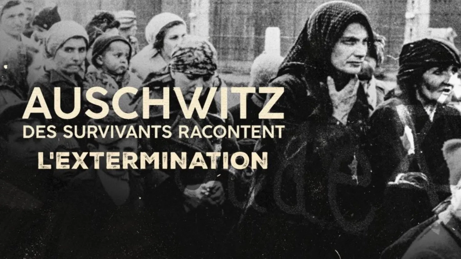 Auschwitz, survivors tell their stories