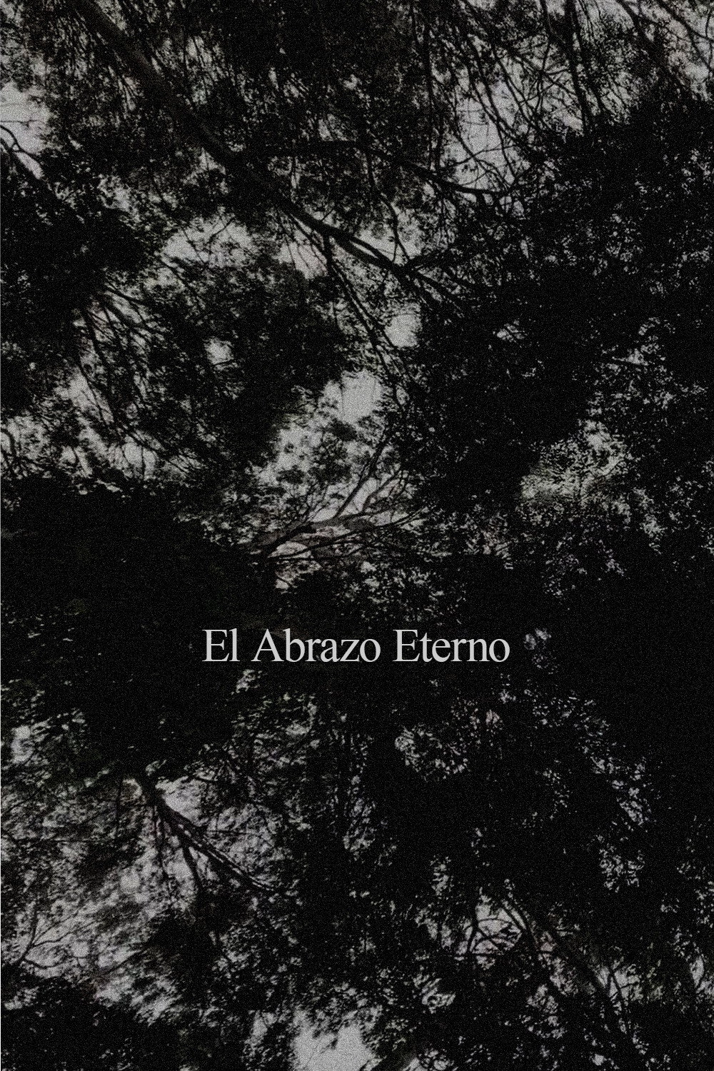 El Abrazo Eterno