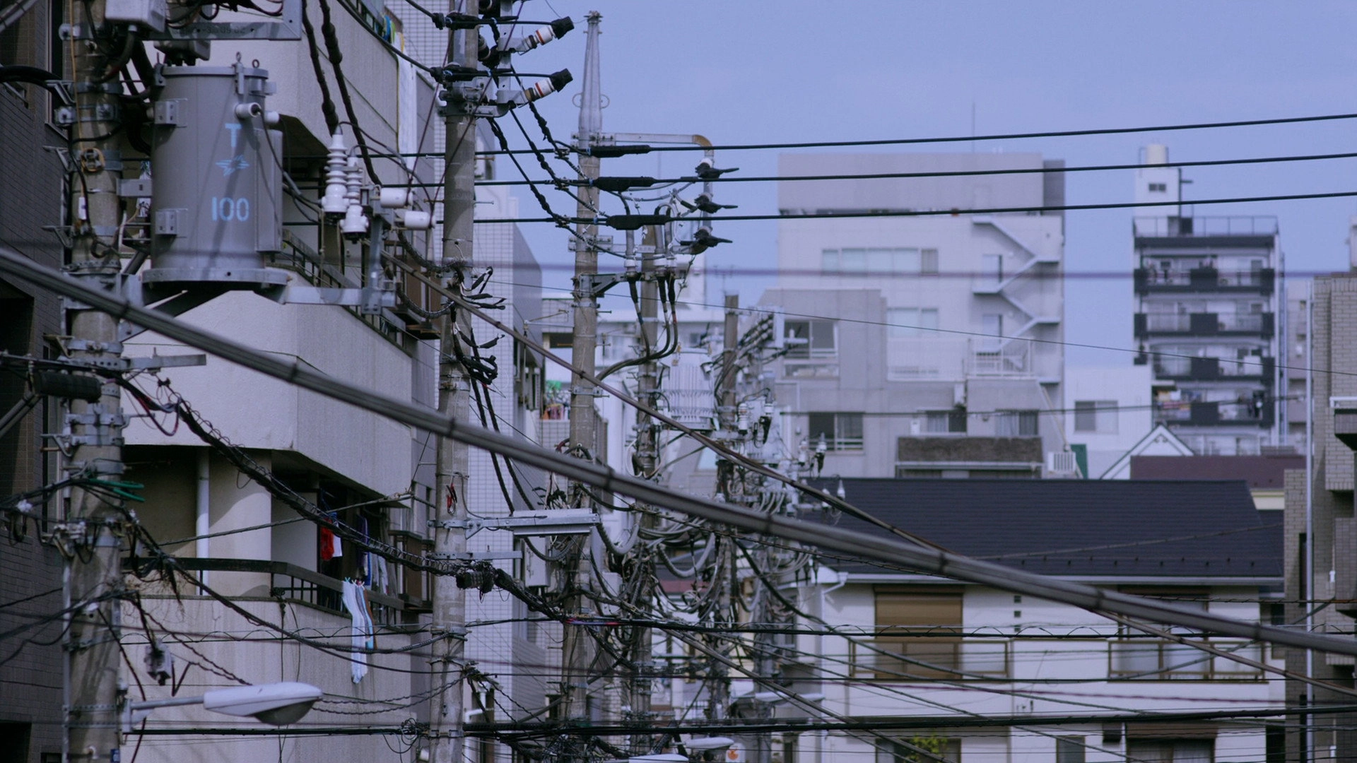 Tokyo Bachelors