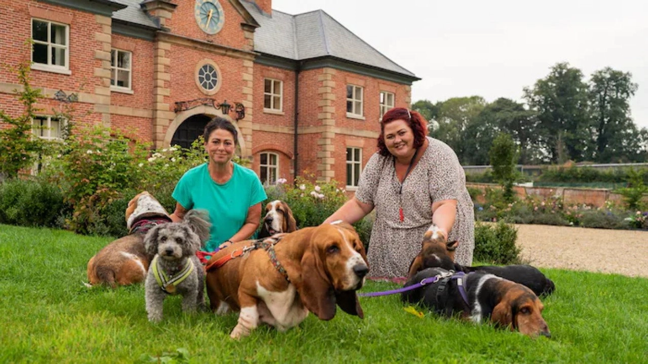 Bad Dog Academy