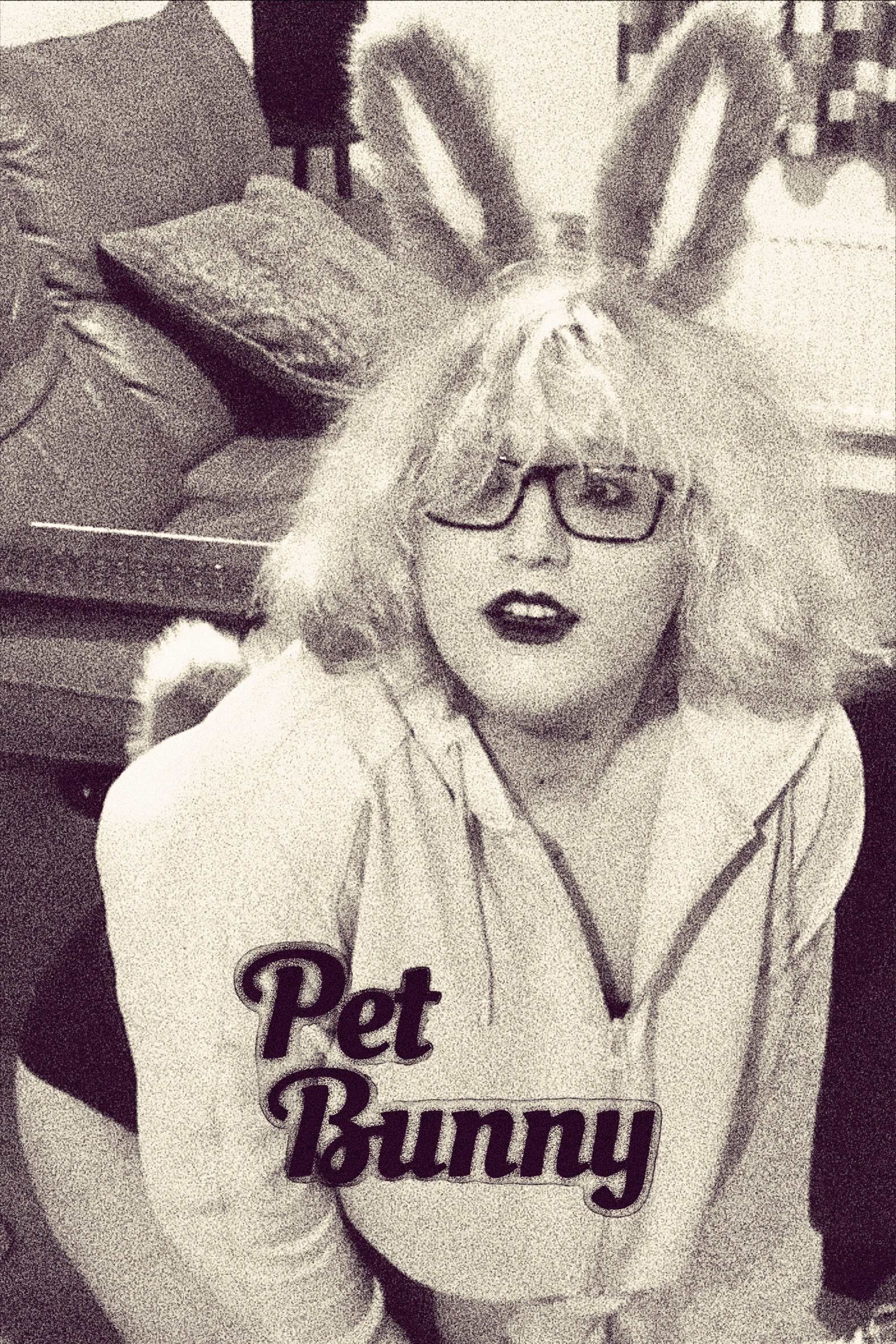 Pet Bunny