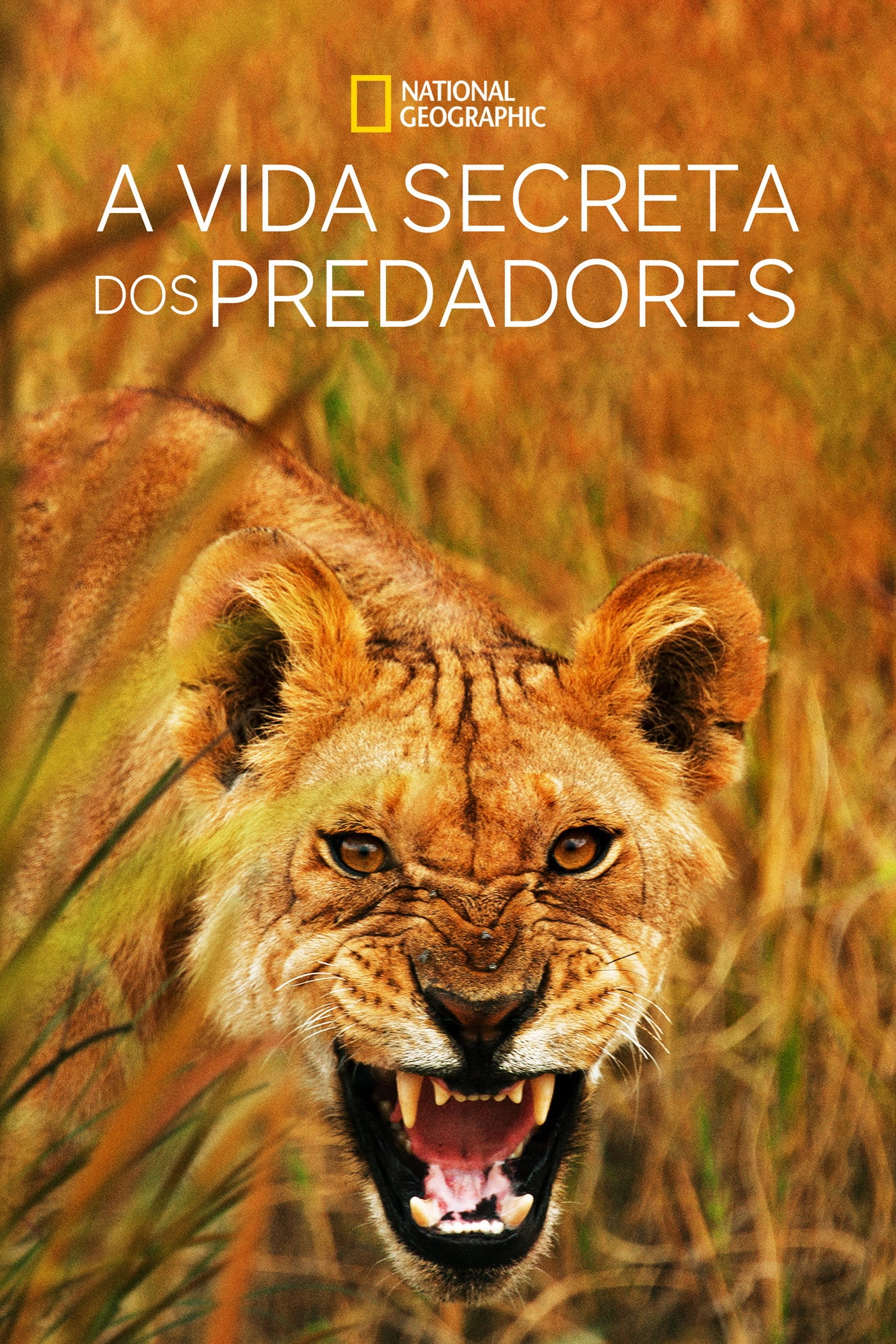 Secret Life of Predators