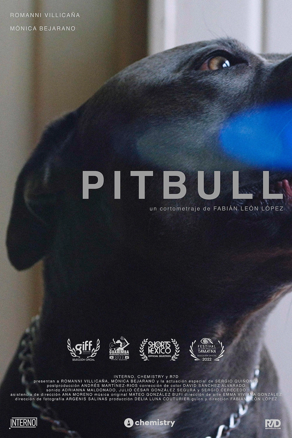 Pitbull