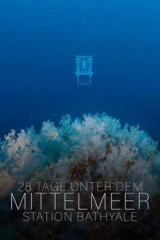 The Deep Med