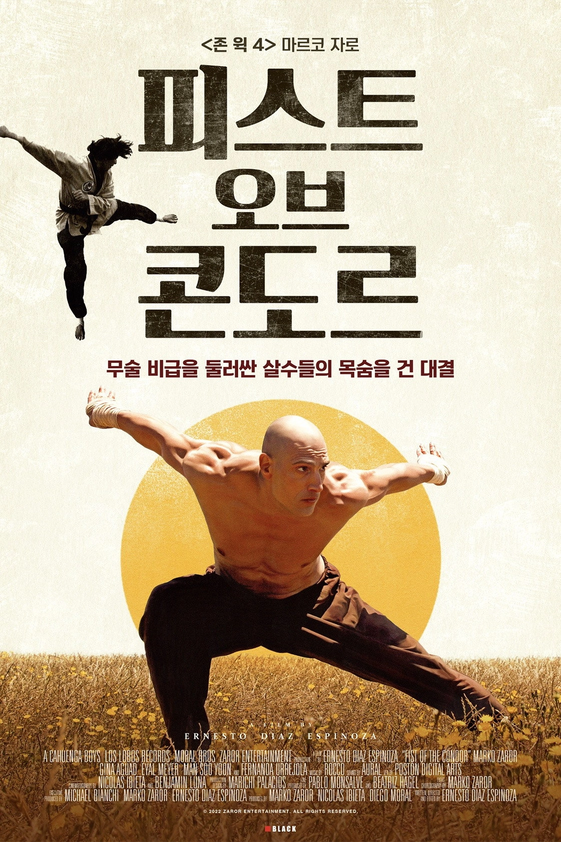 Fist of the Condor
