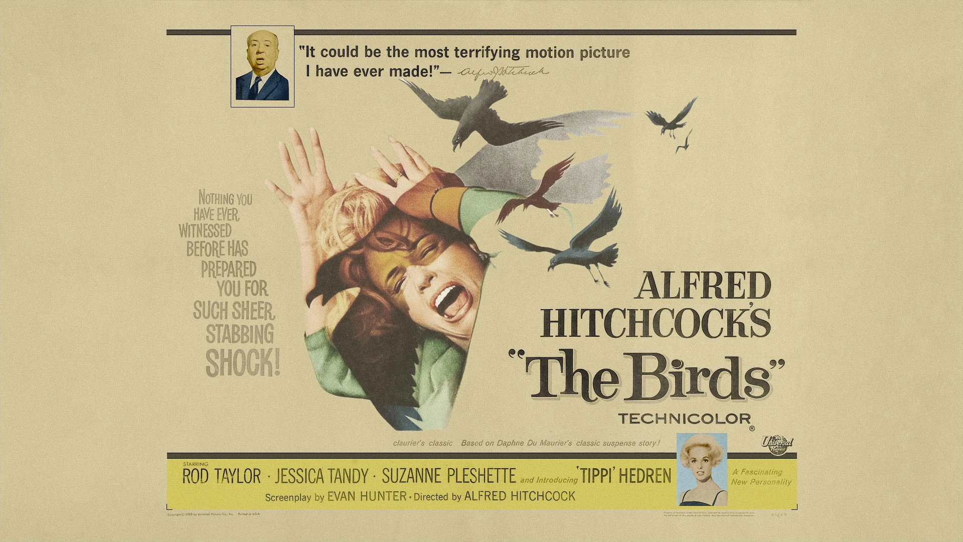 The Birds