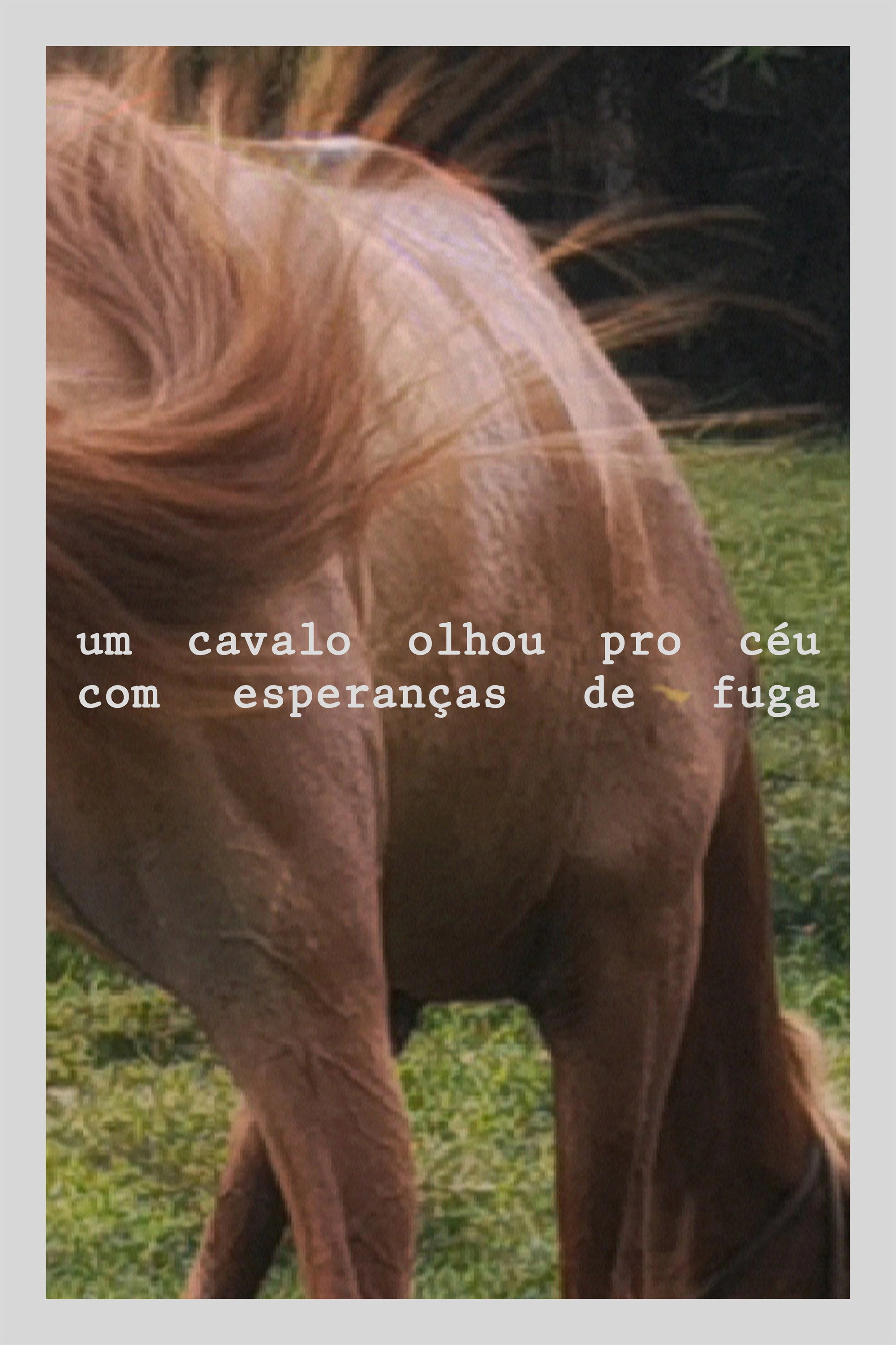 A horse looked at the sky with hope of escape