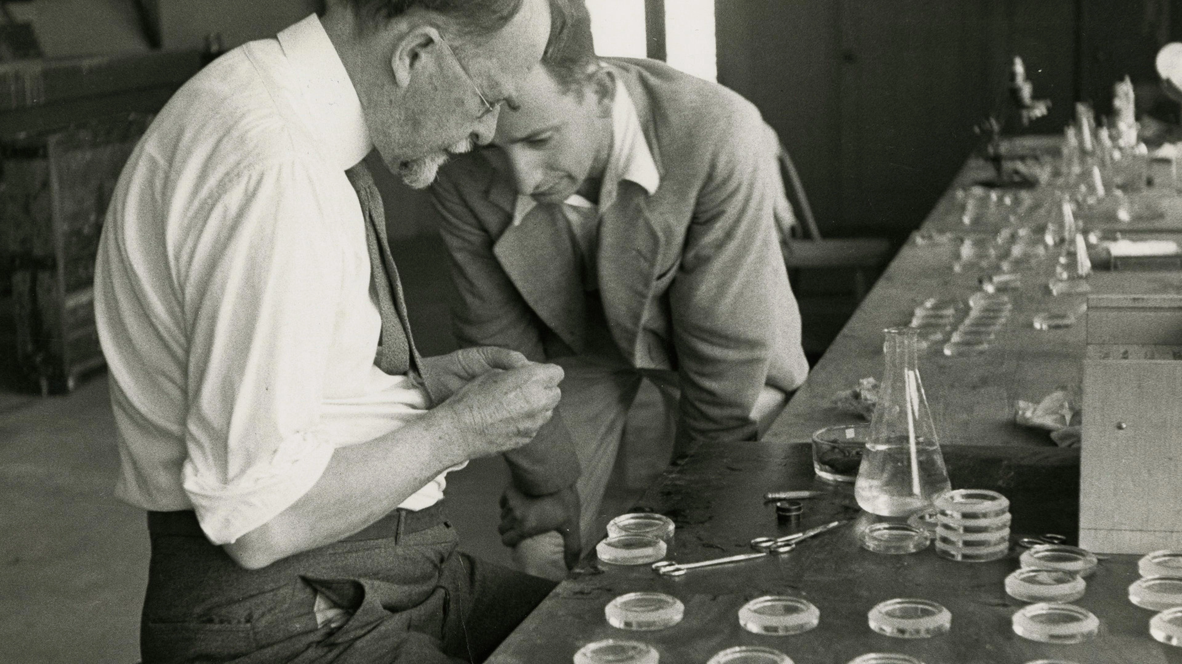 The Gene: An Intimate History