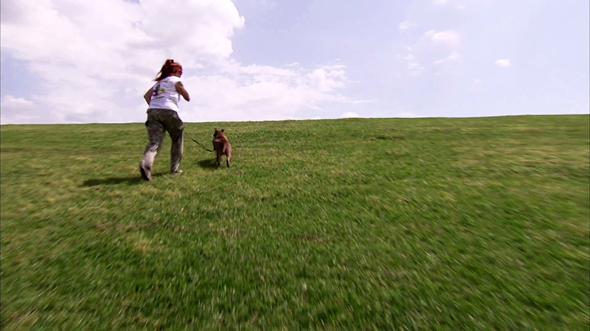Pit Bulls and Parolees