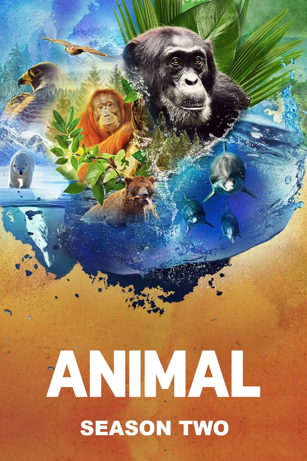 Animal