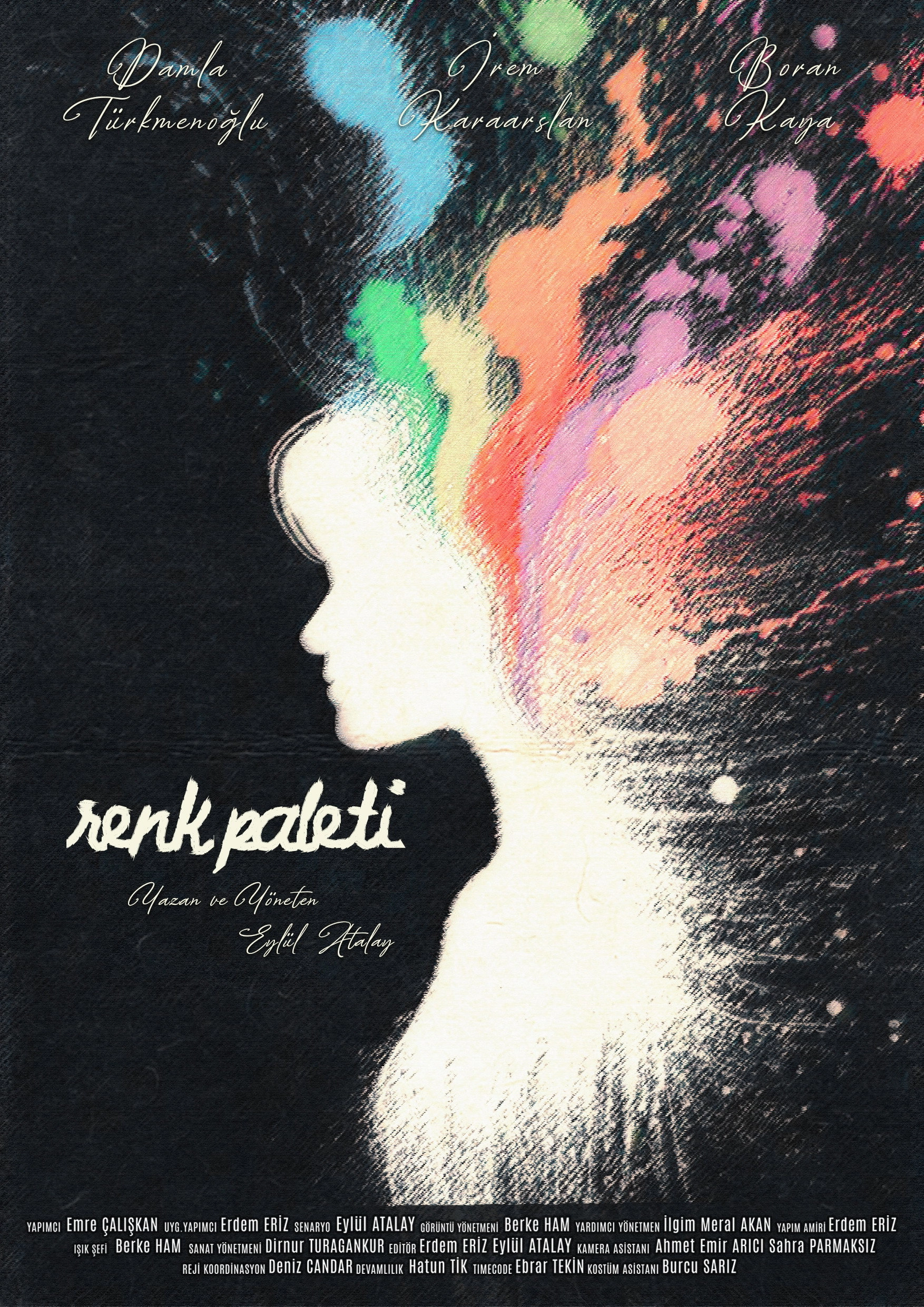 Renk Paleti