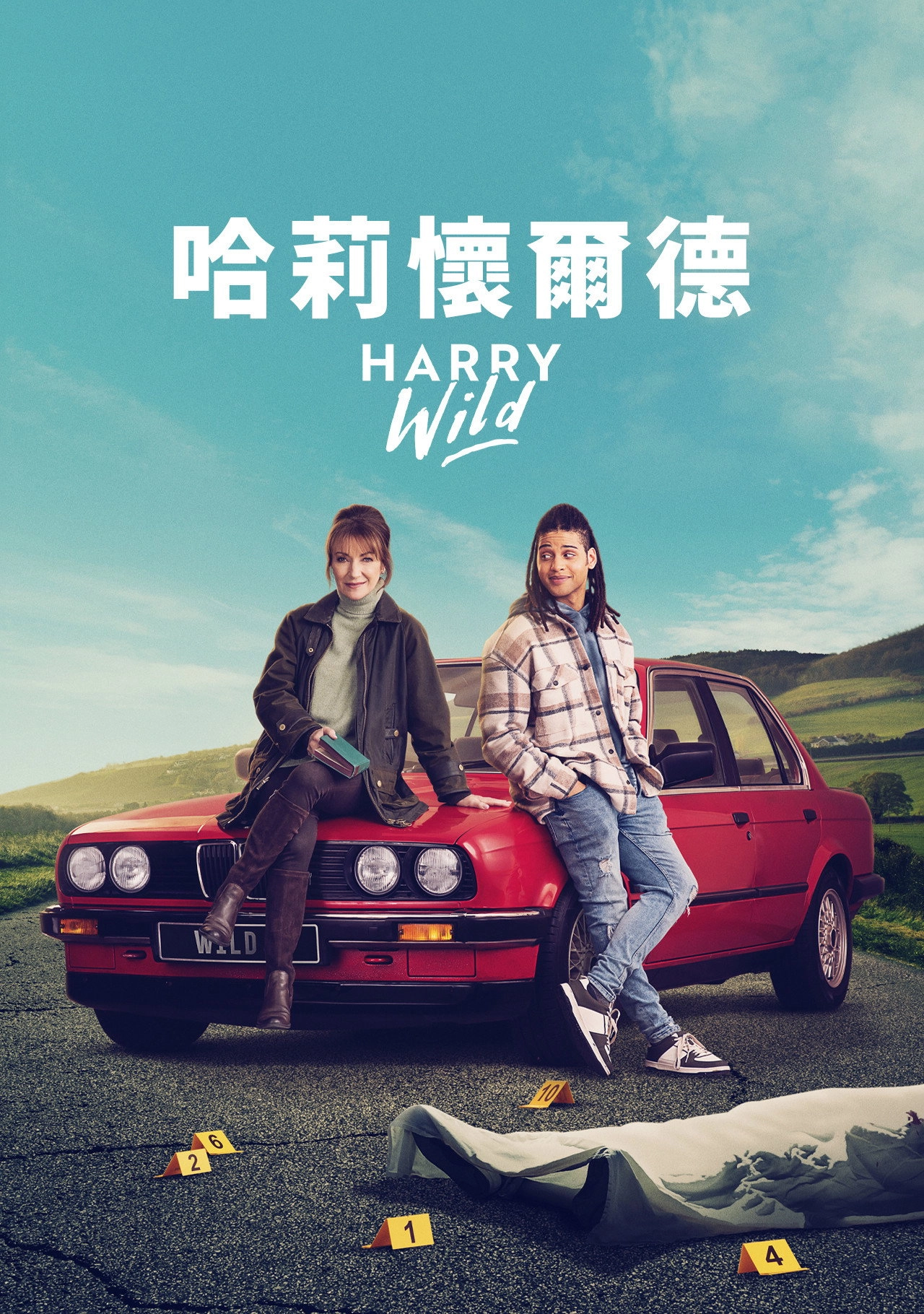 Harry Wild