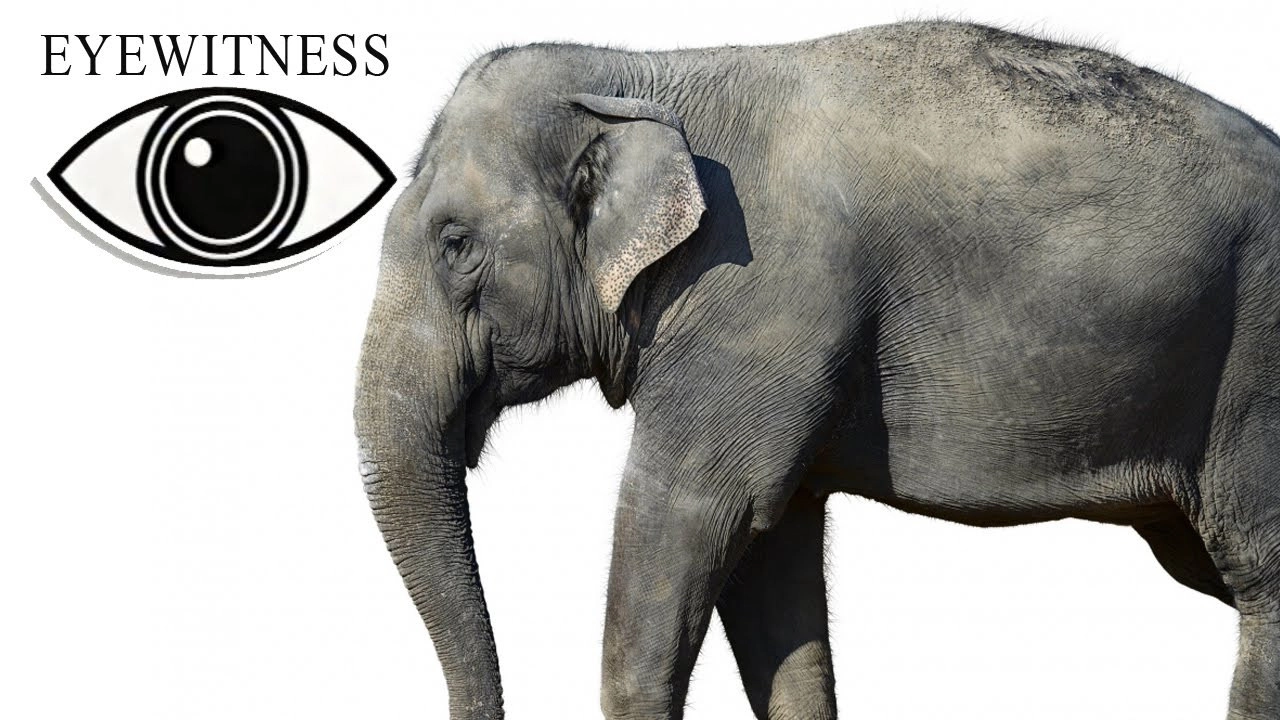Eyewitness