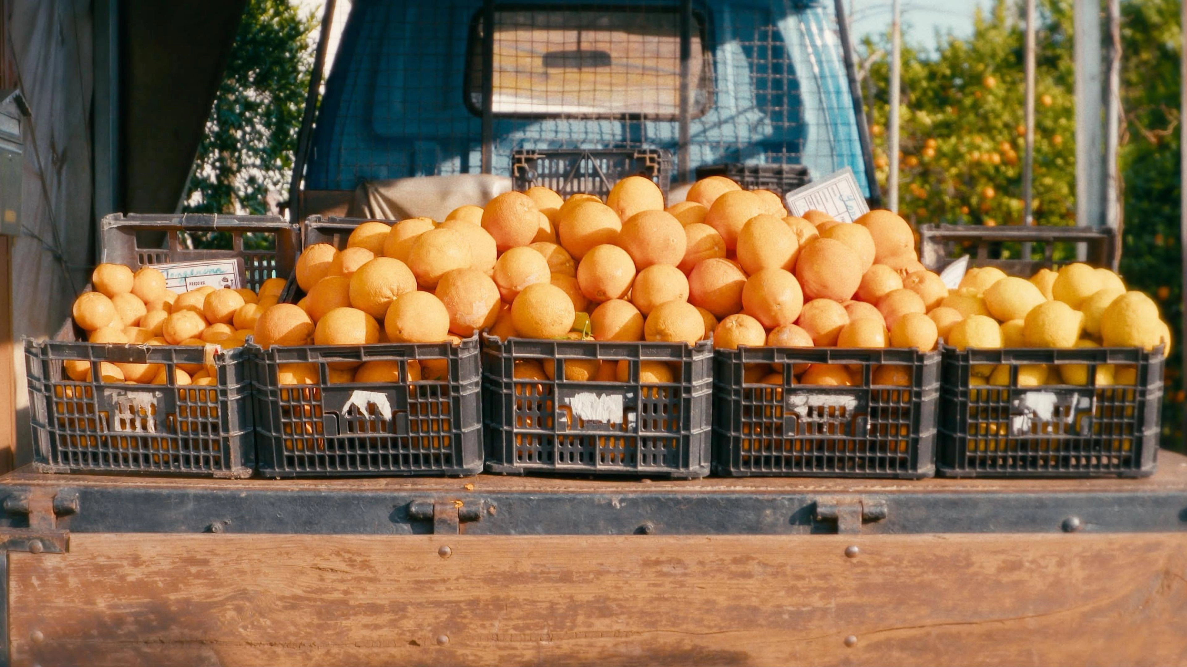 O Tempo De Comer Uma Laranja