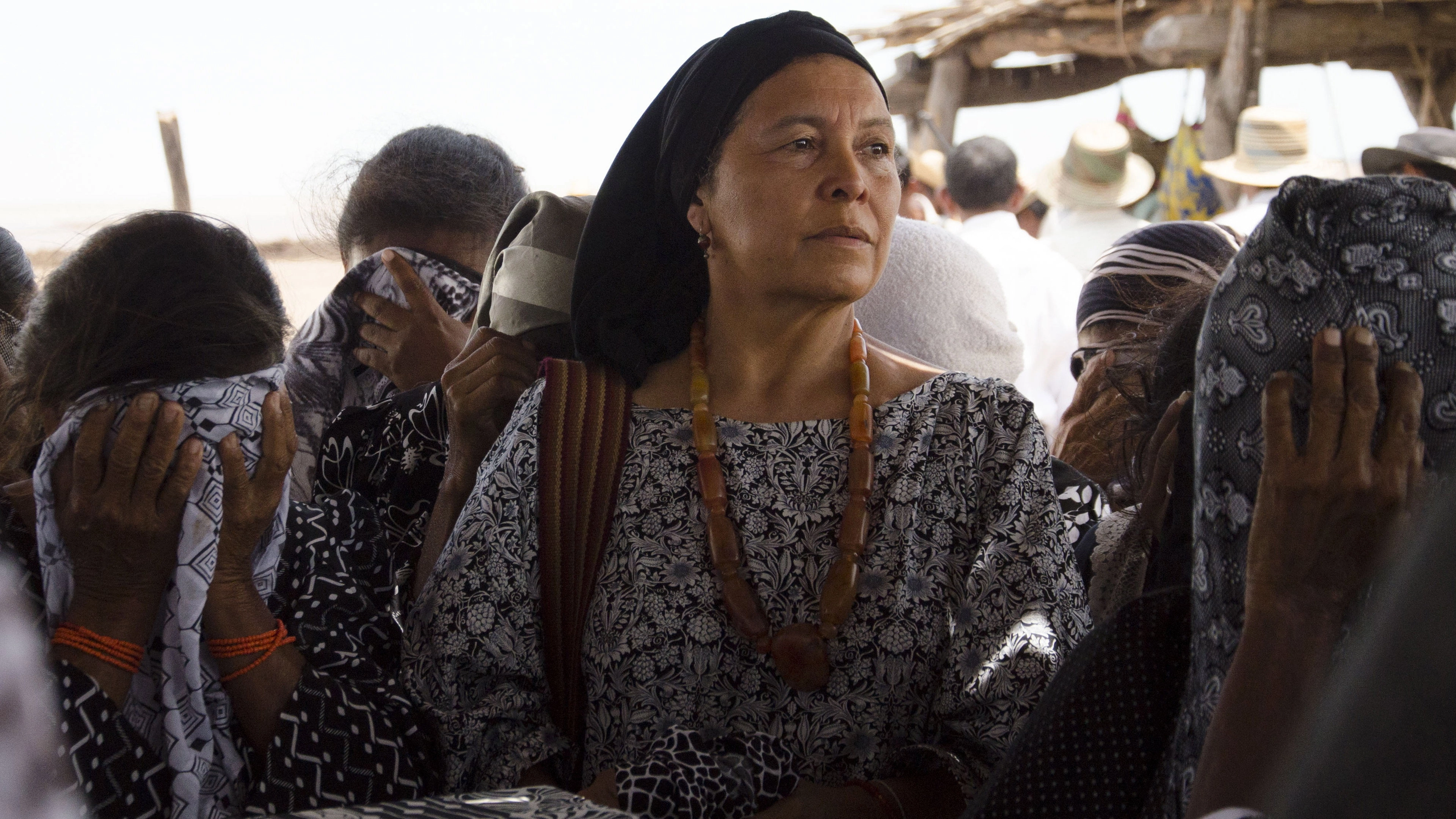 Birds of Passage