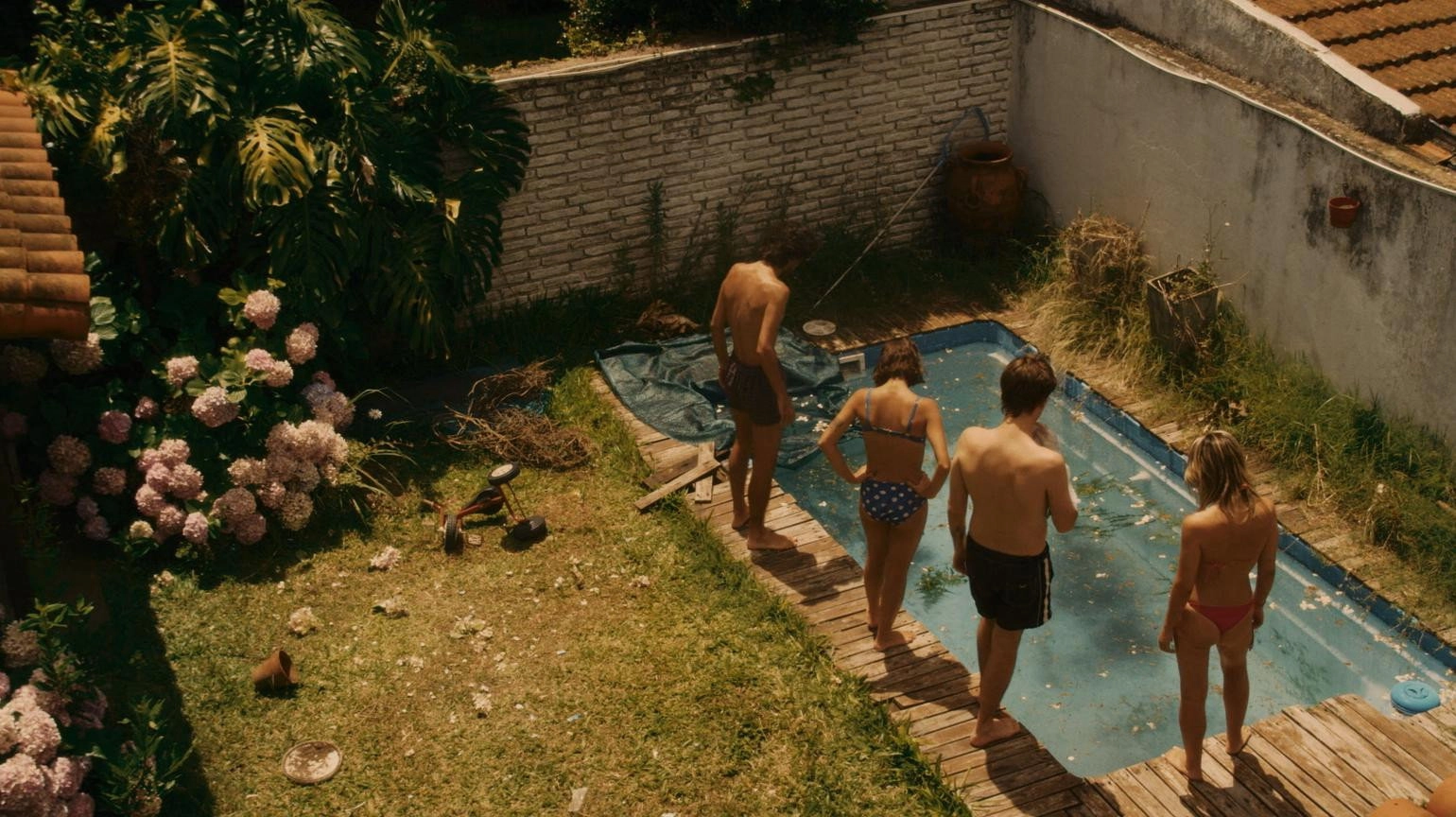 The Swimmers