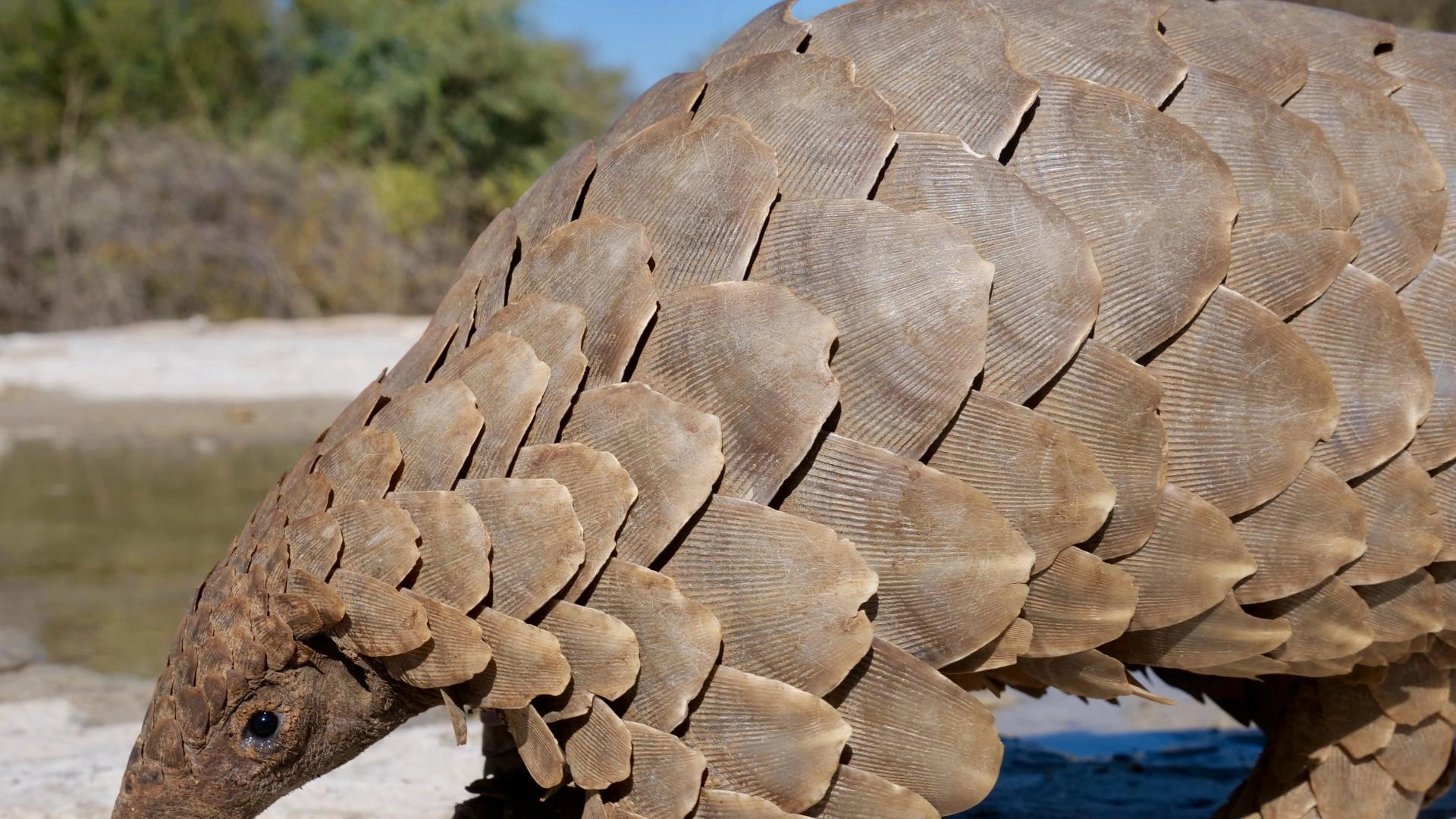 Namibia’s Natural Wonders