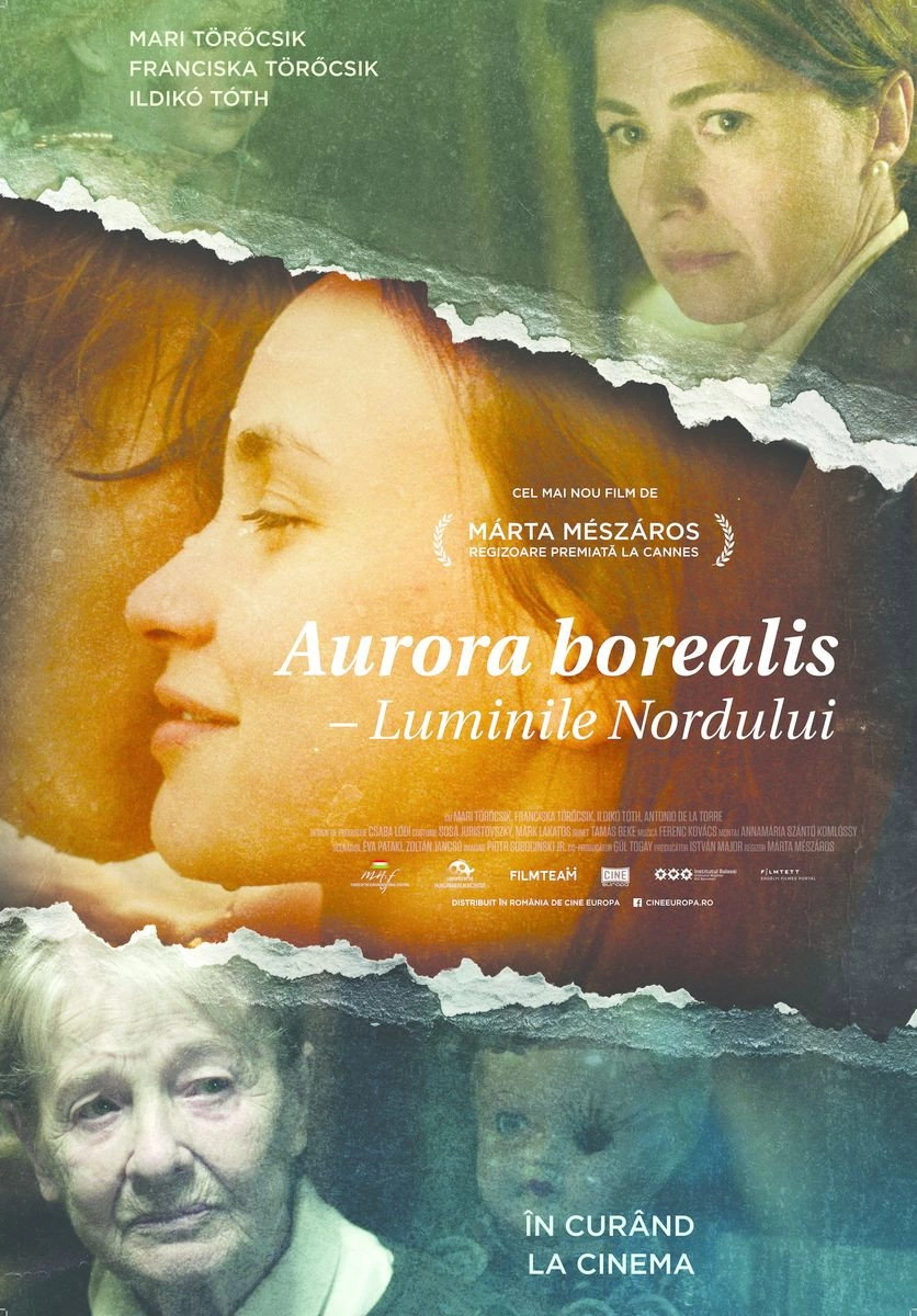 Aurora Borealis: Northern Light