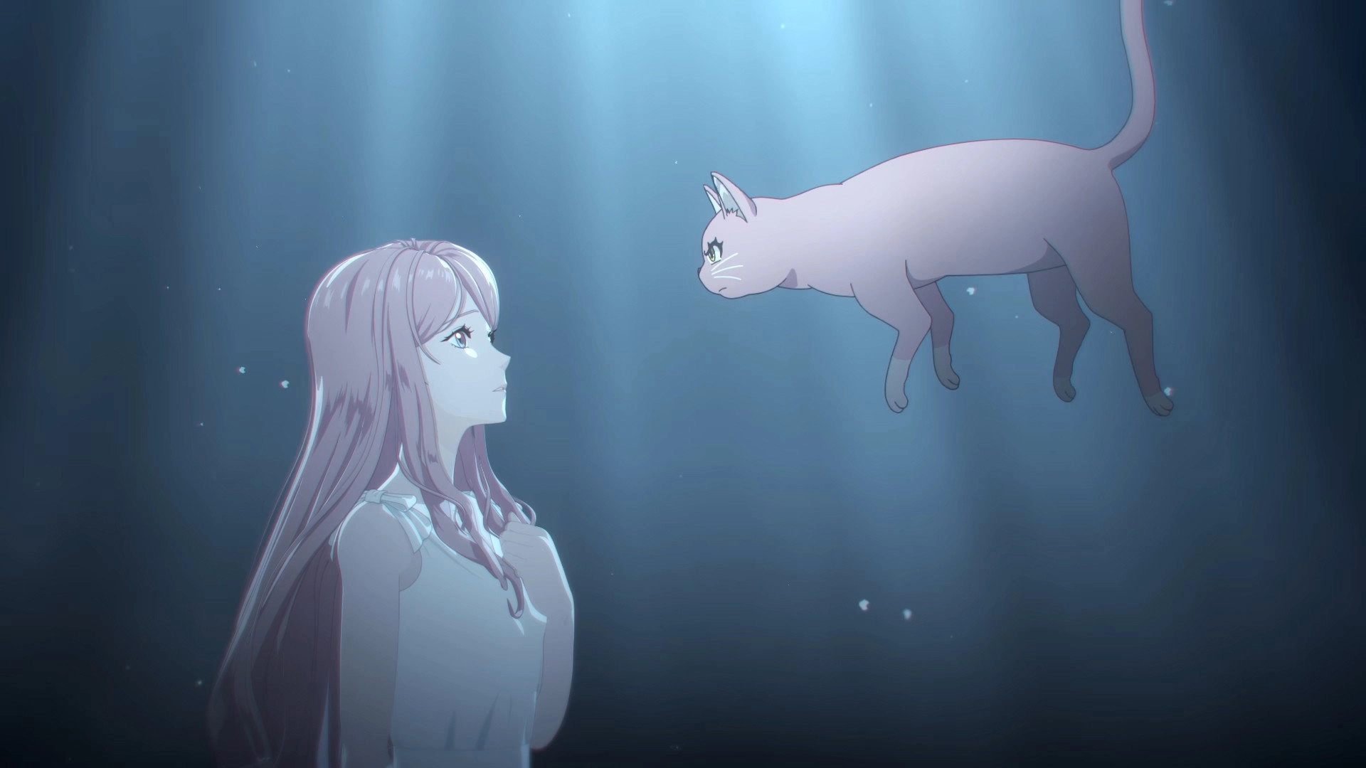 Reborn as a Cat