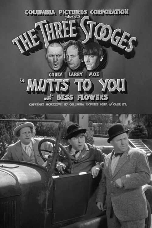 Mutts to You