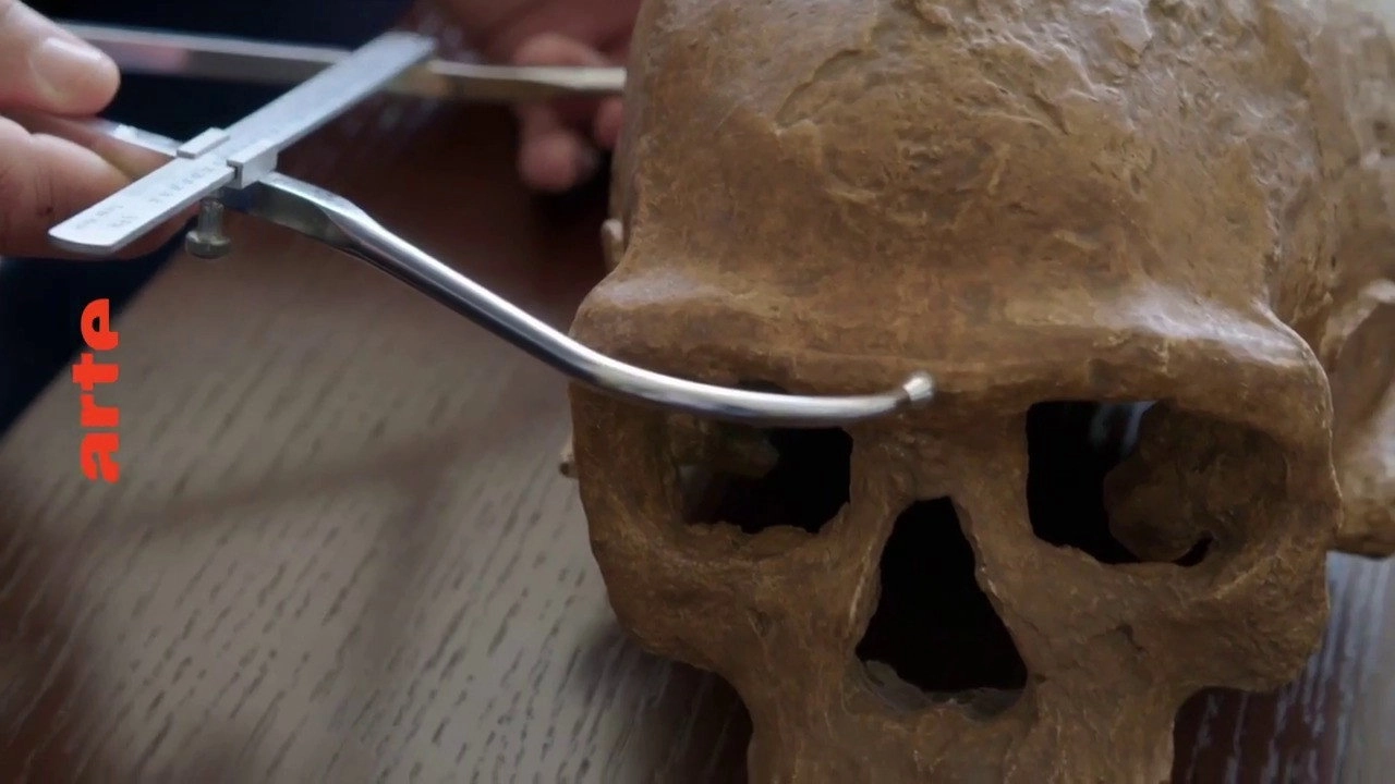 Homo sapiens, the New Origins