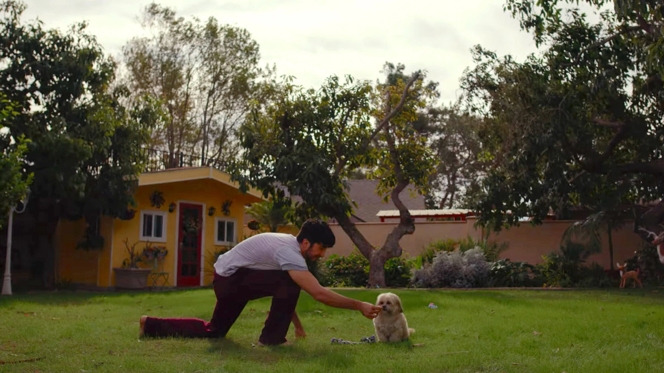 Doggy Bank