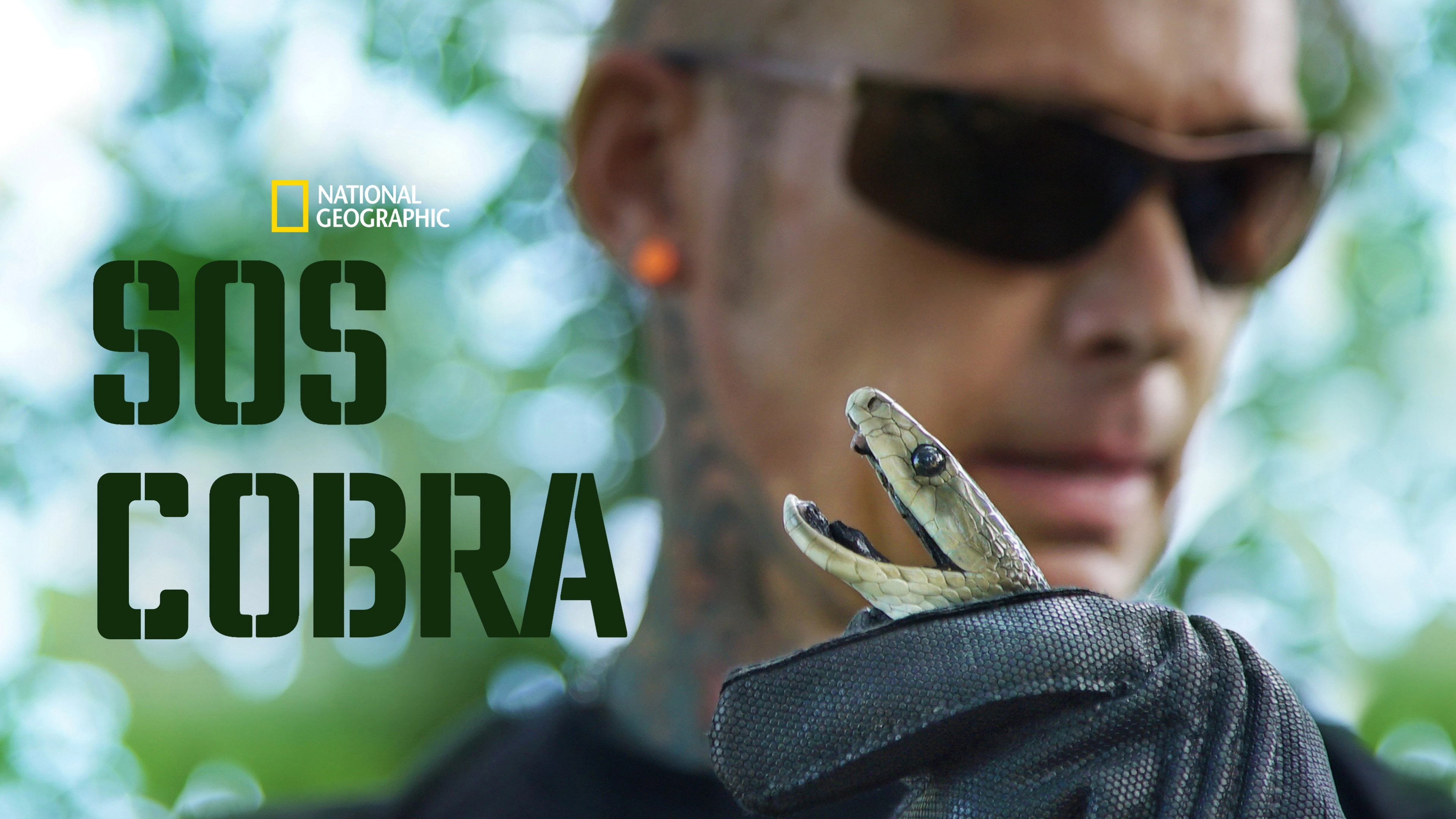 Snake City