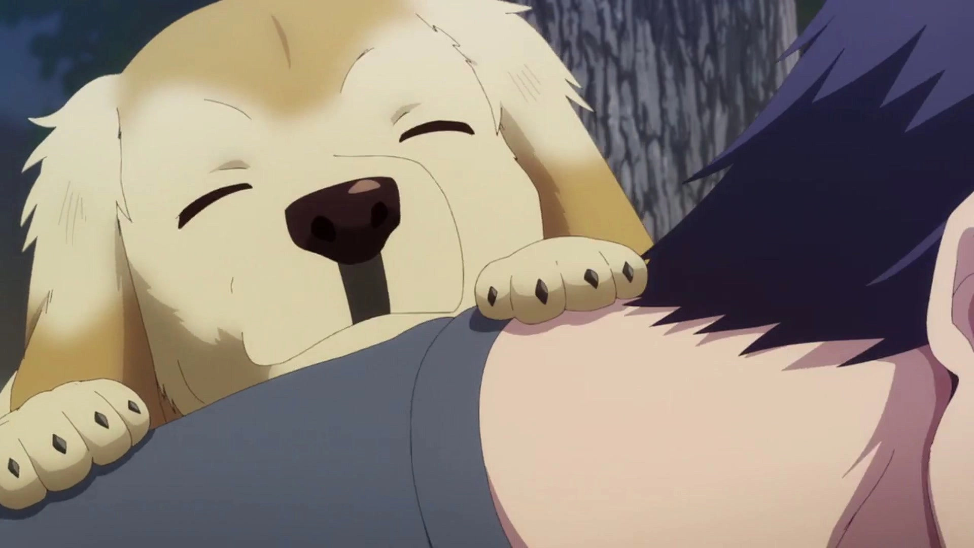Hana-Kimi