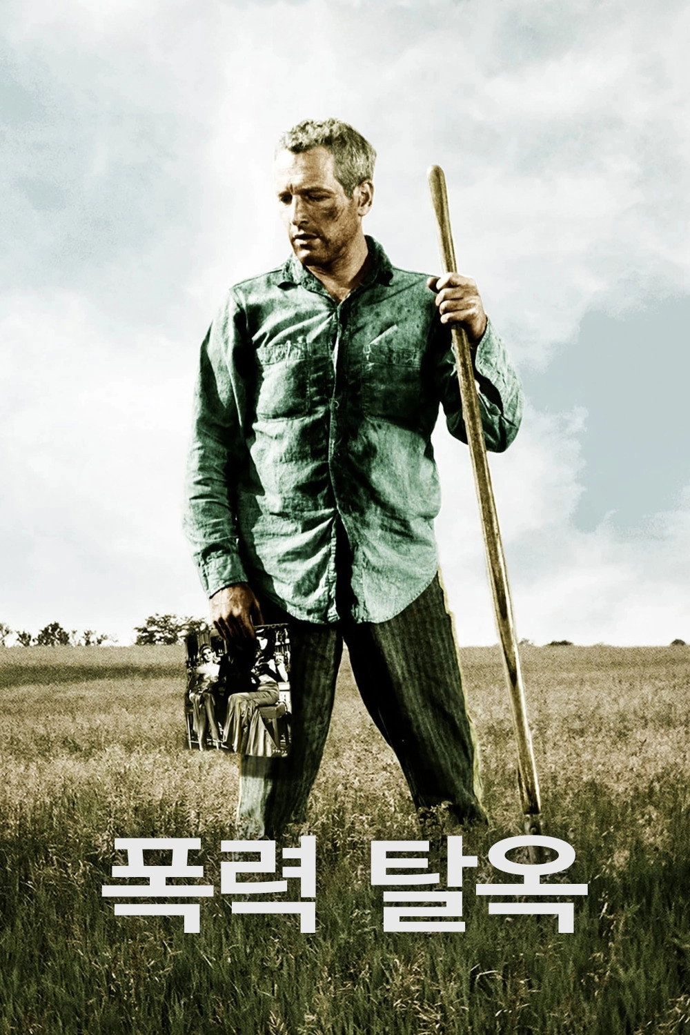Cool Hand Luke