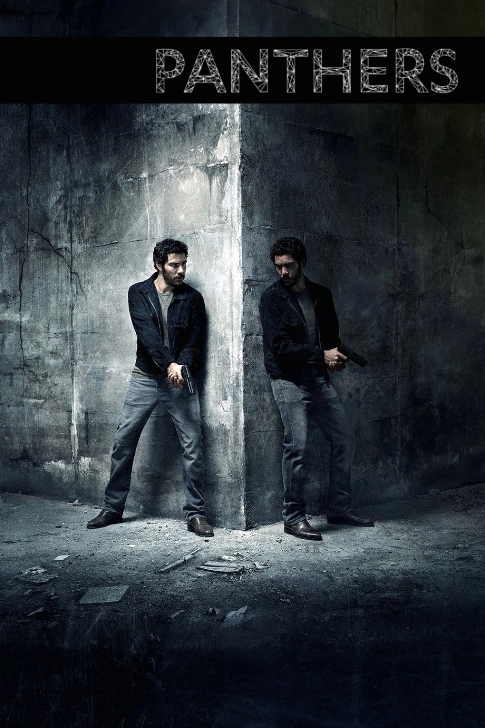 The Last Panthers
