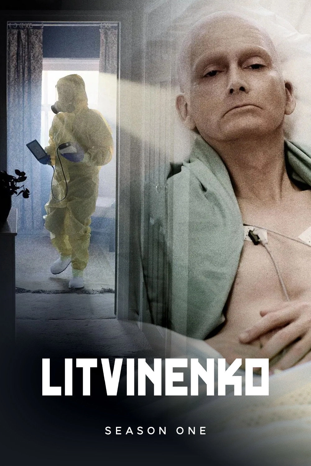 Litvinenko