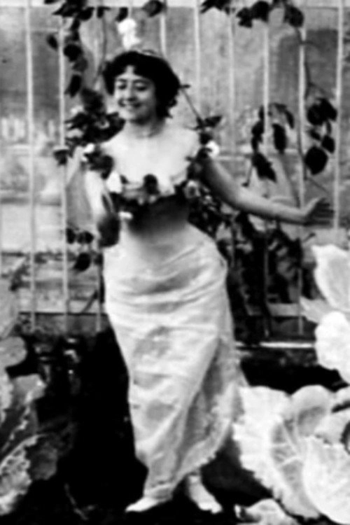 The Cabbage-Patch Fairy