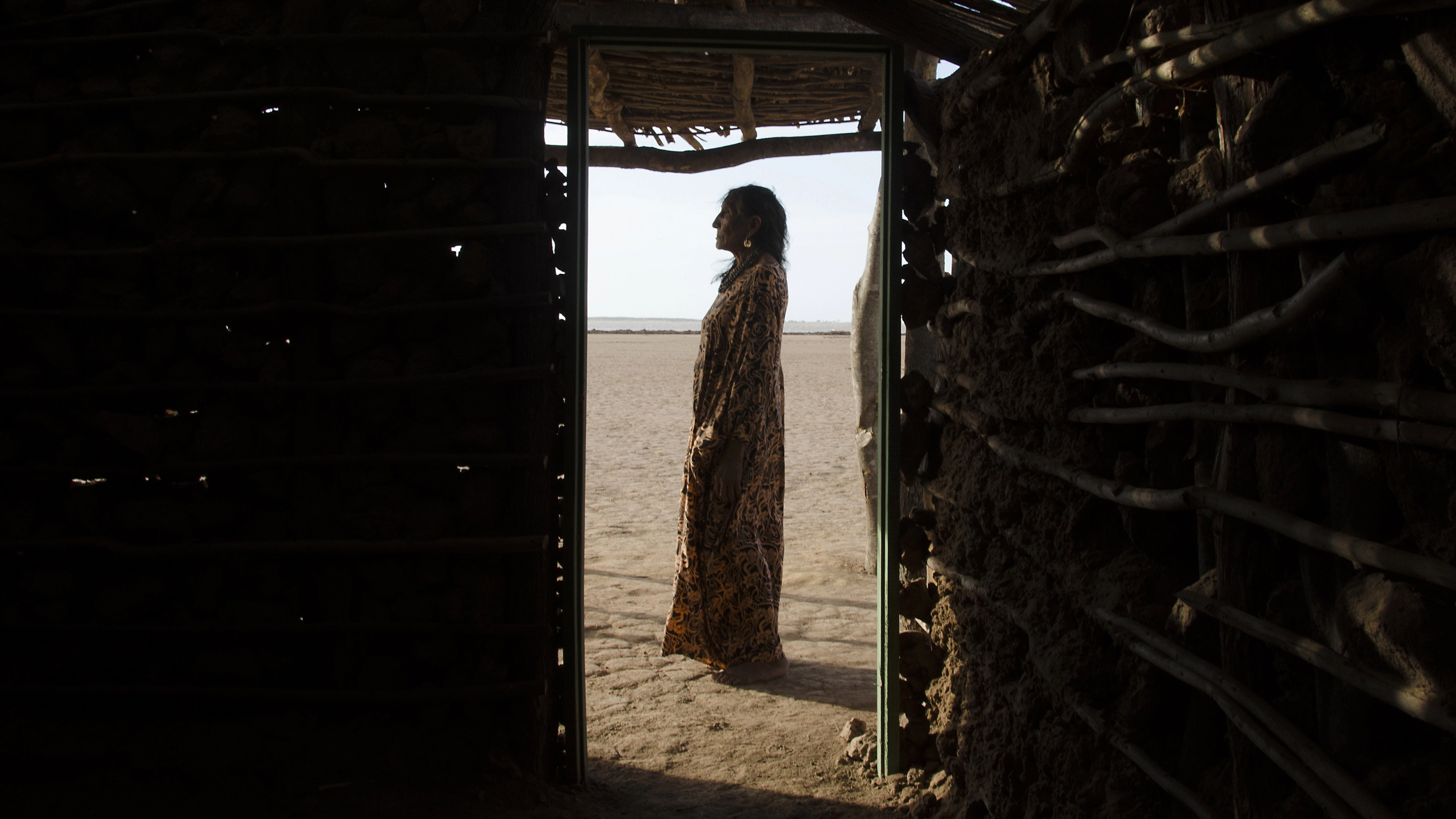 Birds of Passage