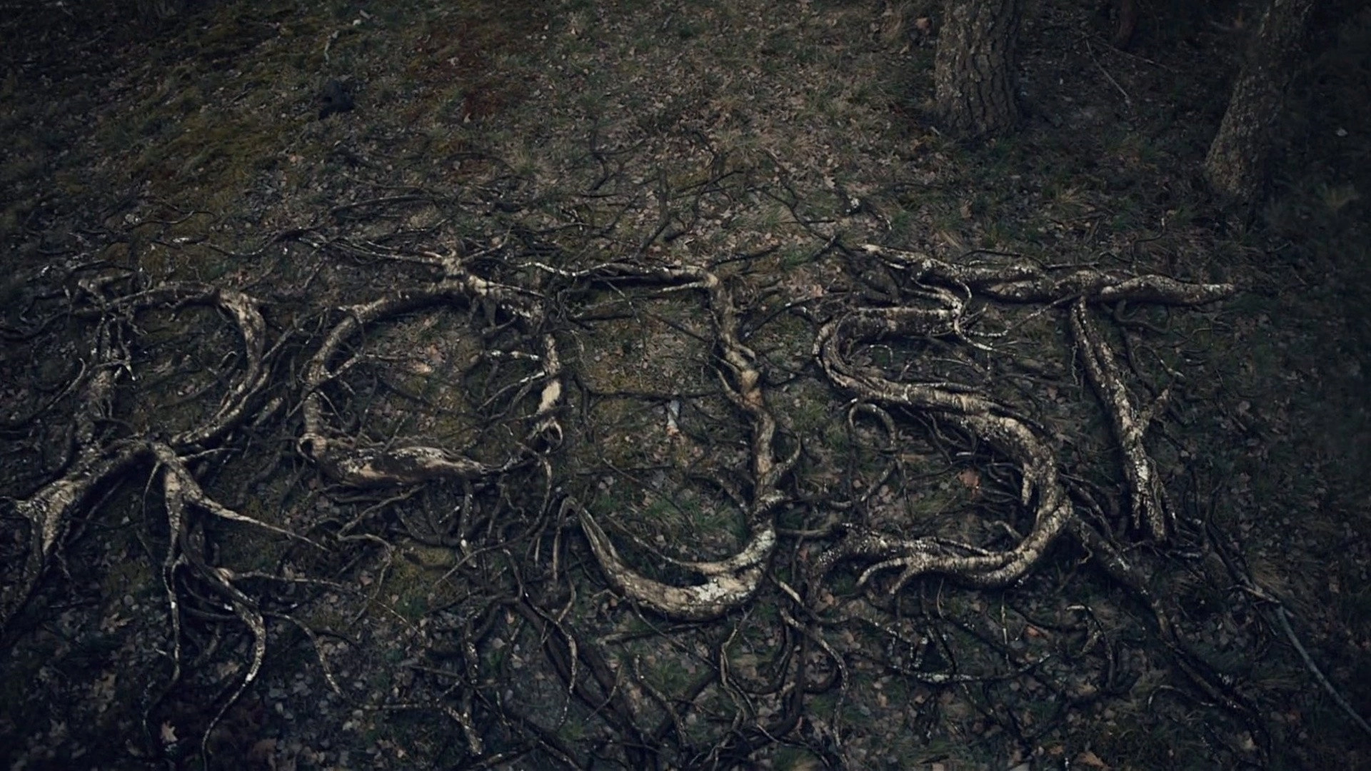 The Mire
