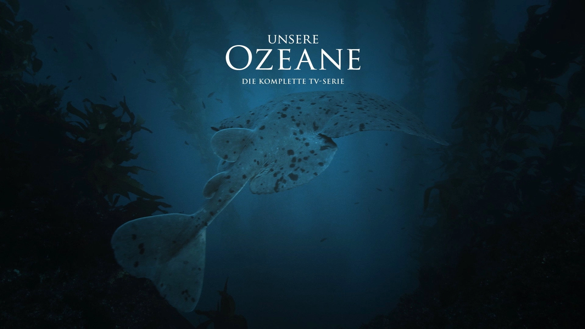 Kingdom of the Oceans