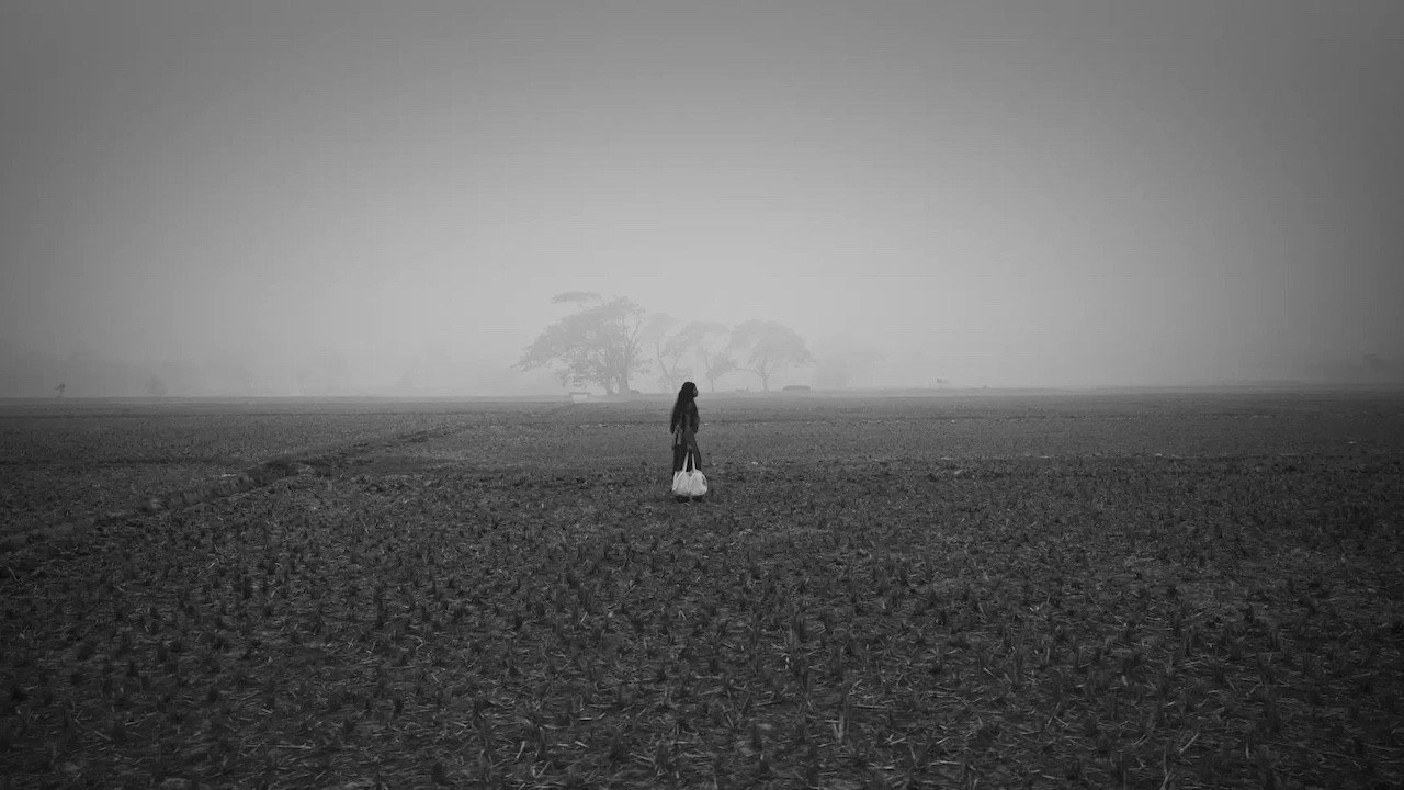 The Blind Girl and an Elephant