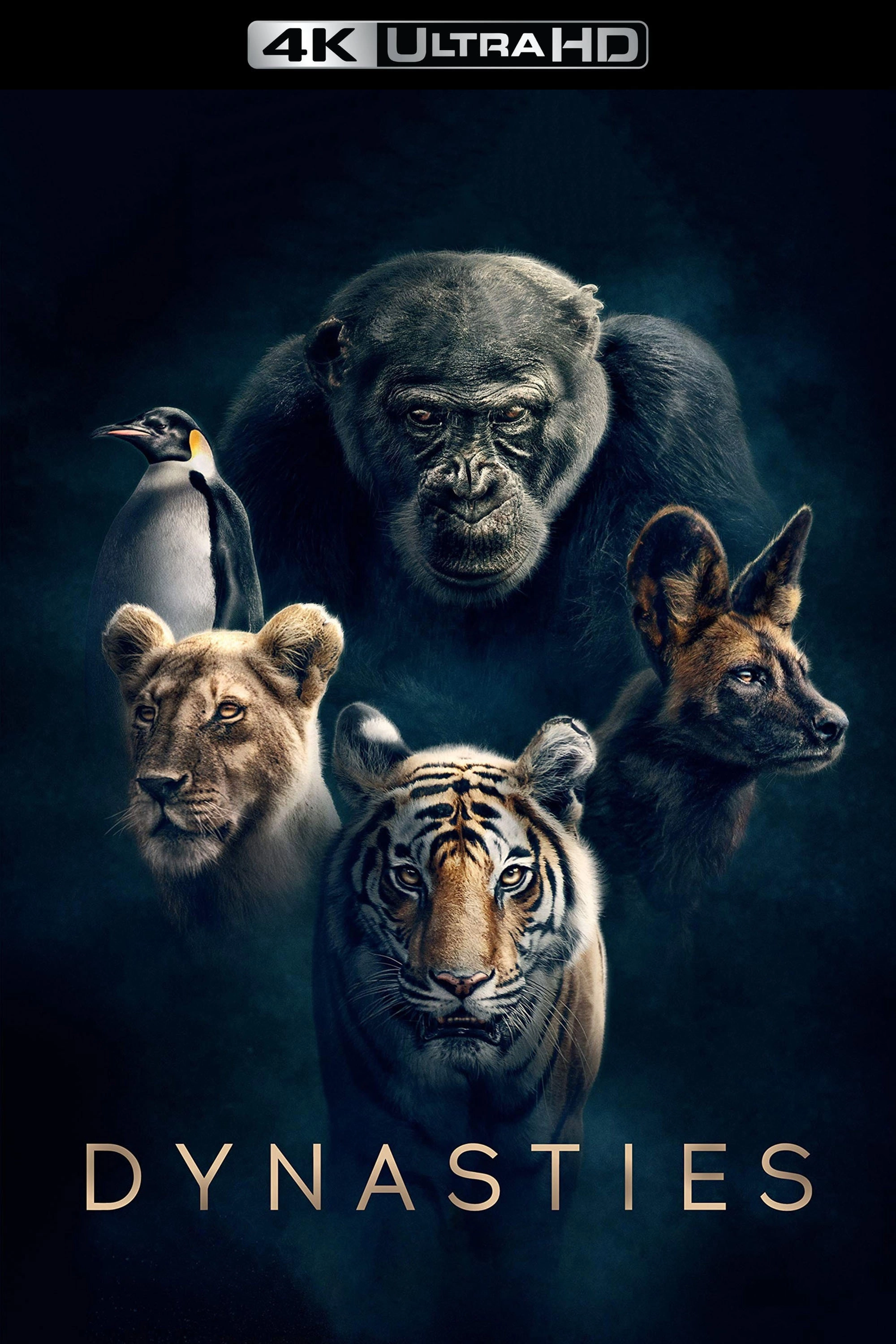 Dynasties